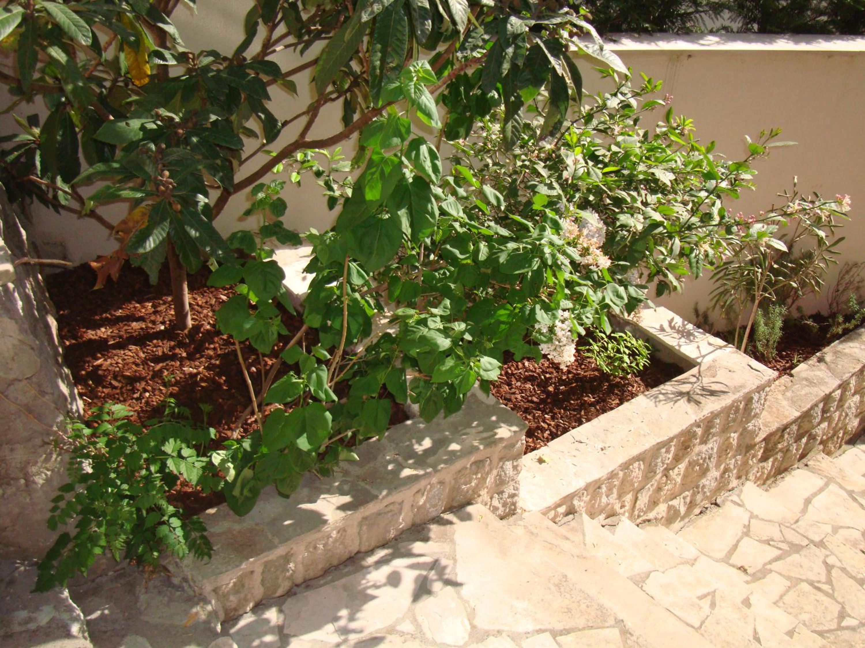 Photo 24