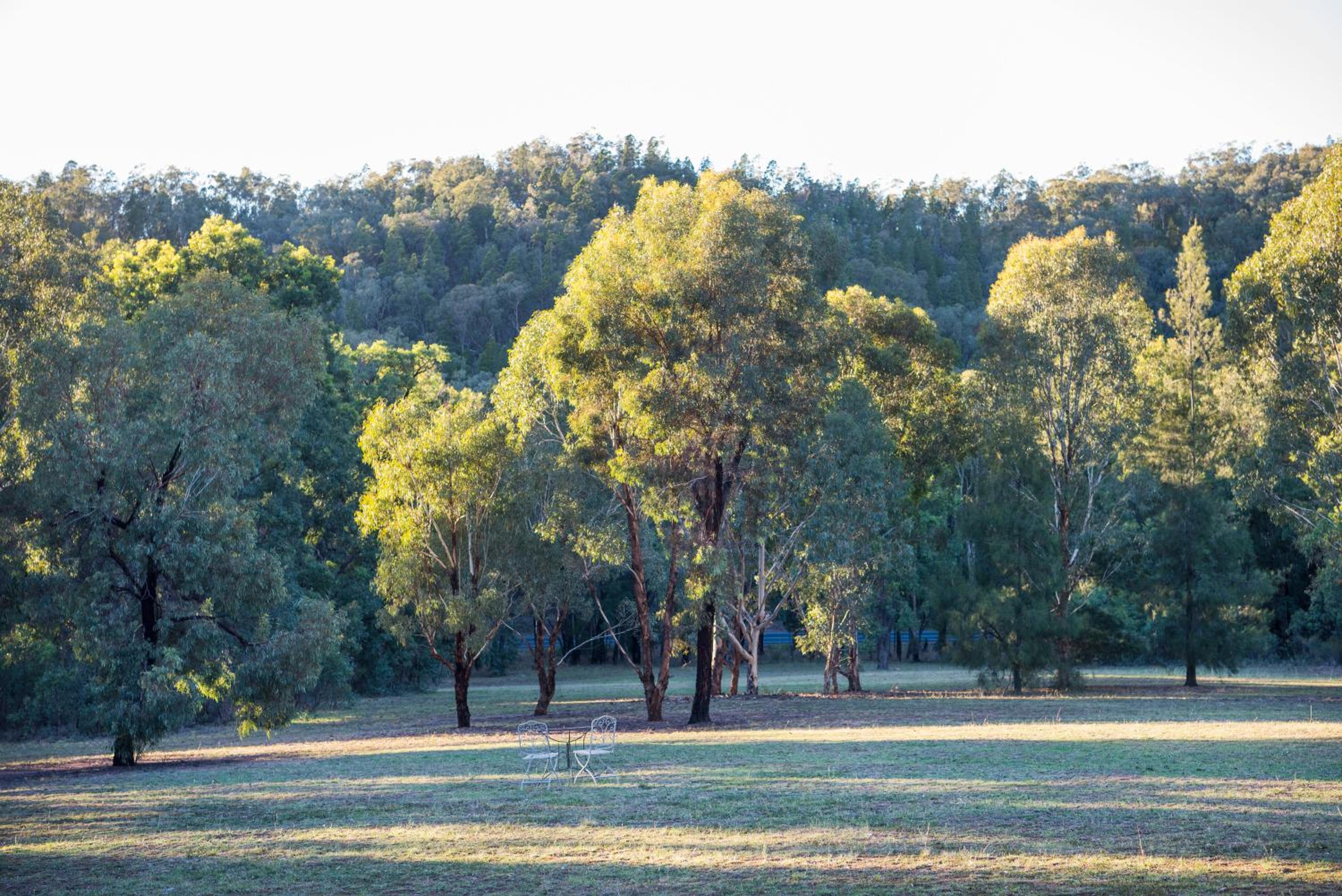 Bandalong Cottages