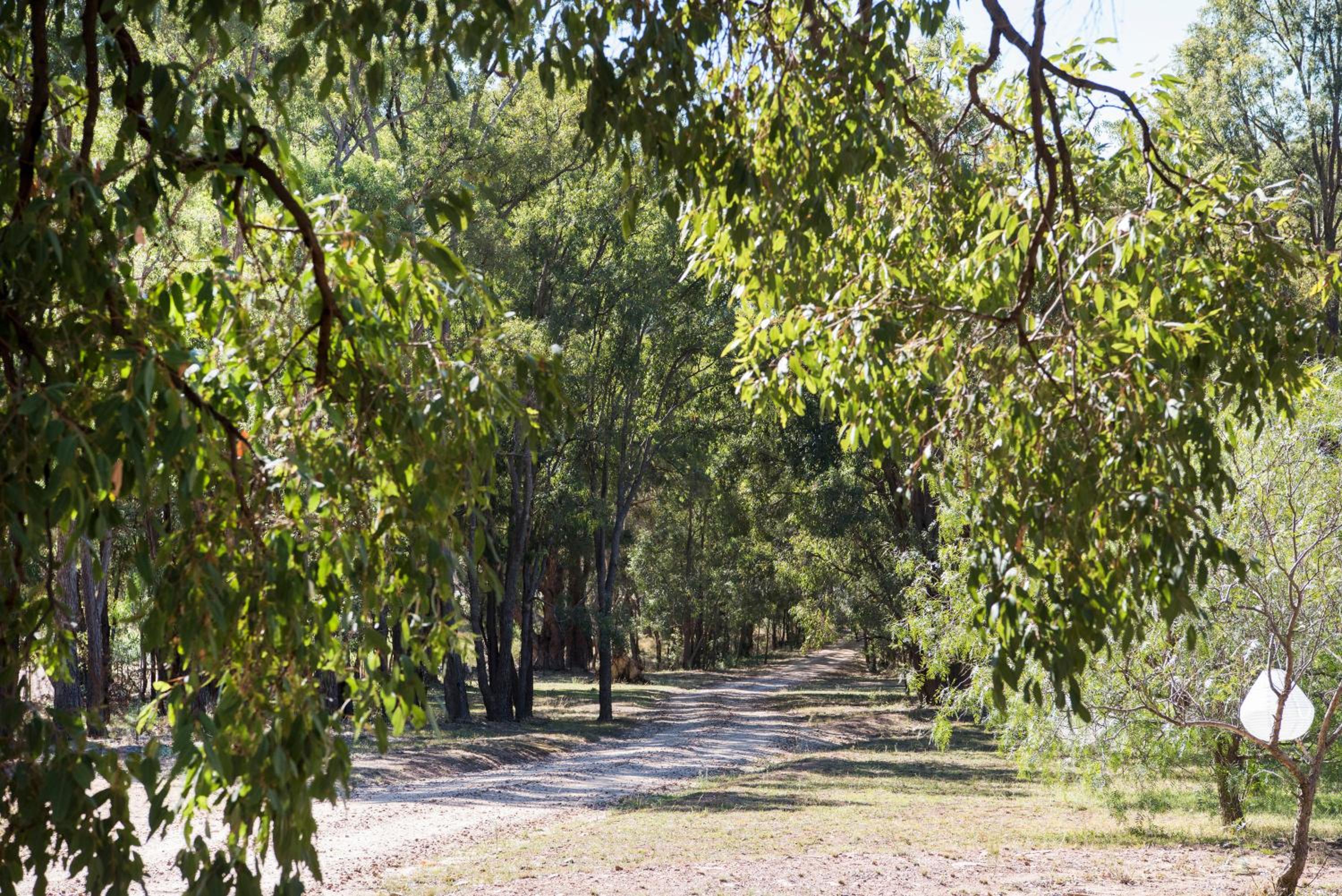 Bandalong Cottages