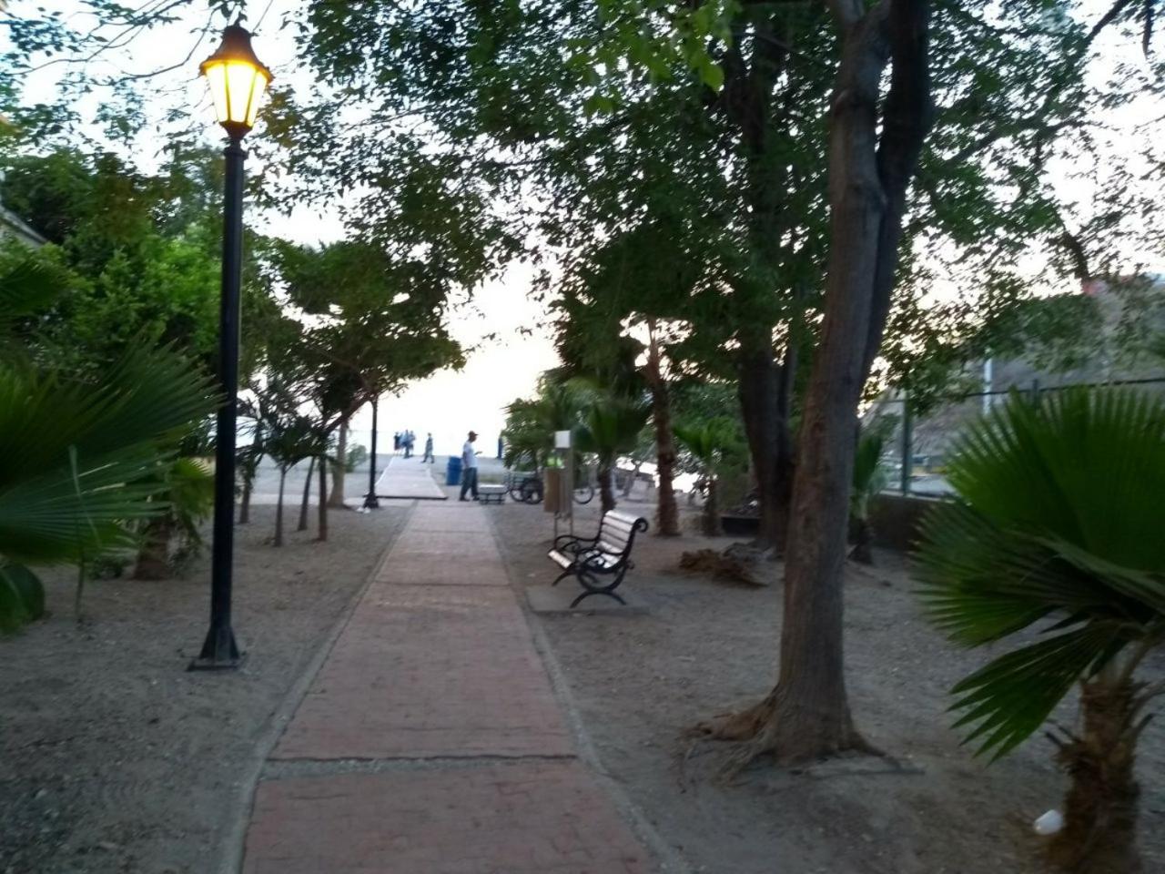 Photo 9