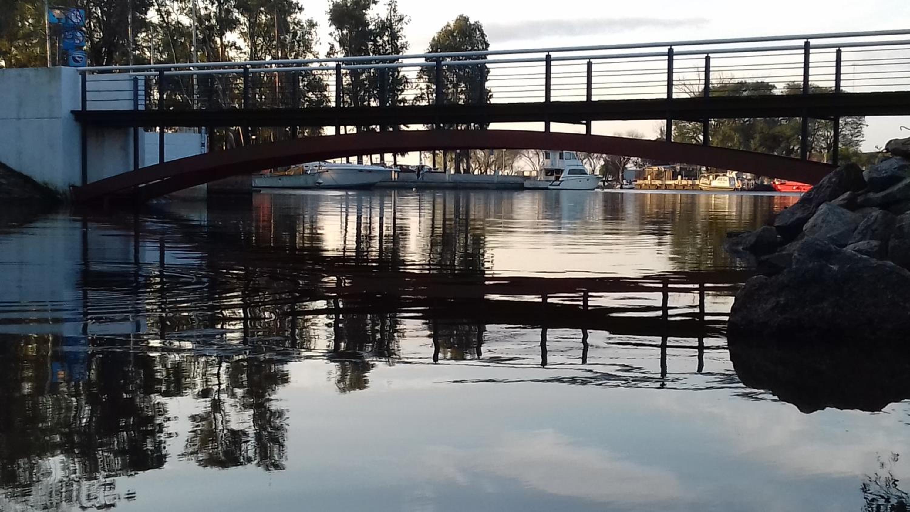 Photo 18
