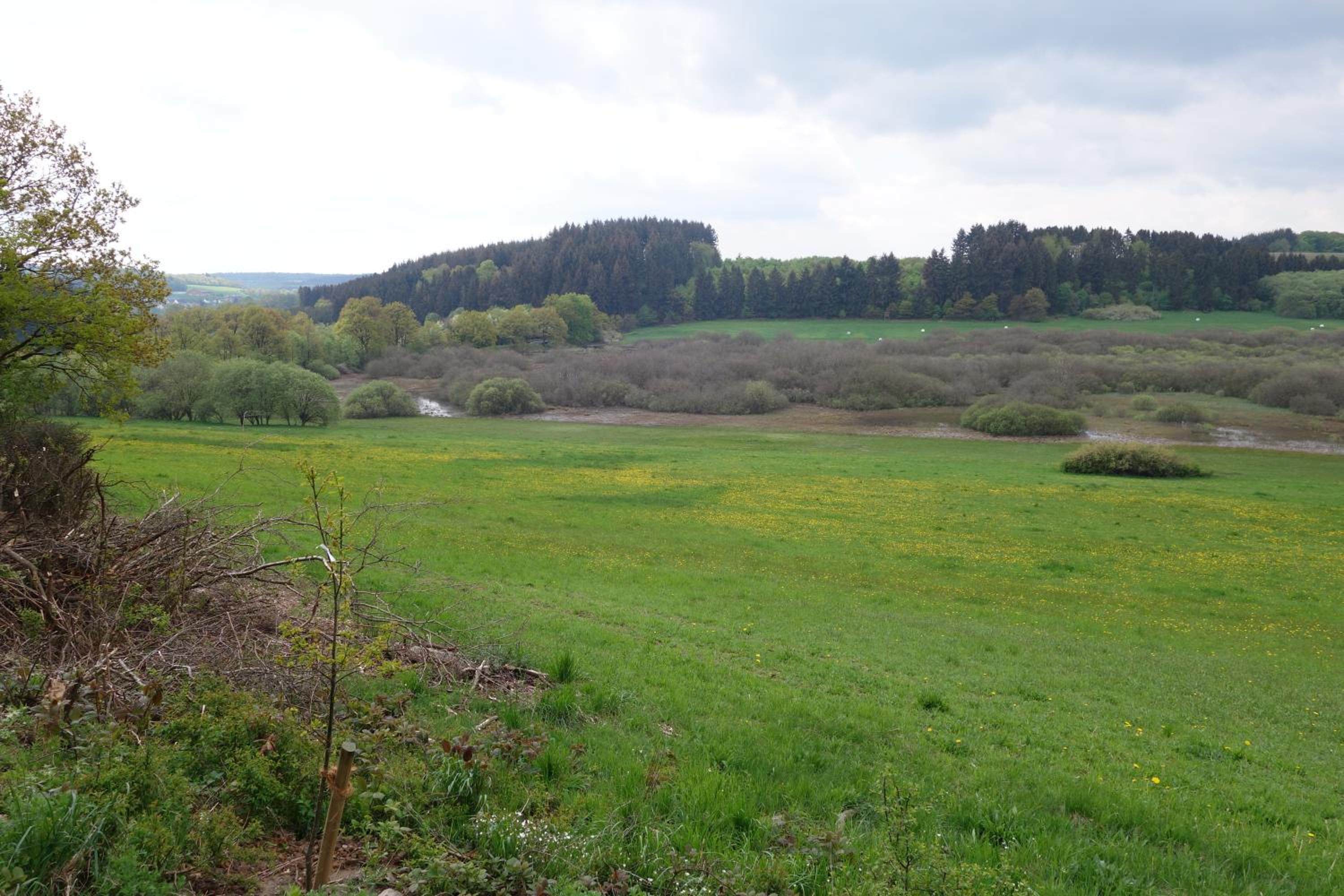 Eifelyeti Ferienwohnung Ellscheid