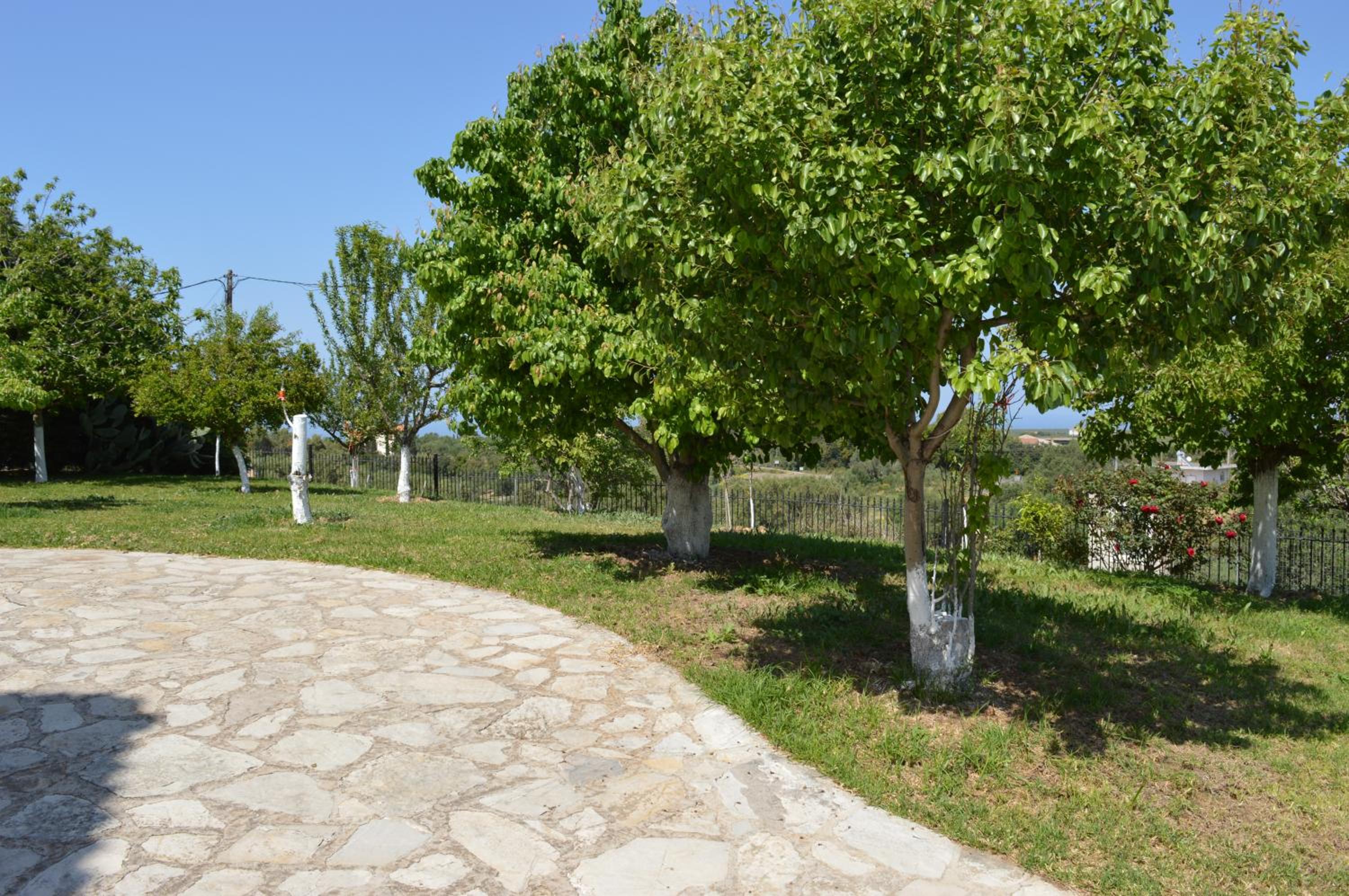 Photo 33