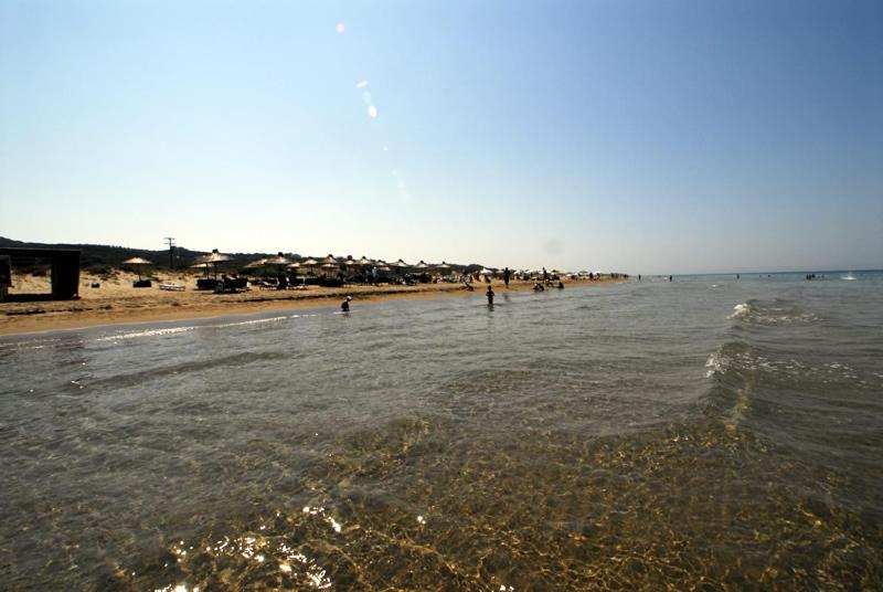 Photo 44