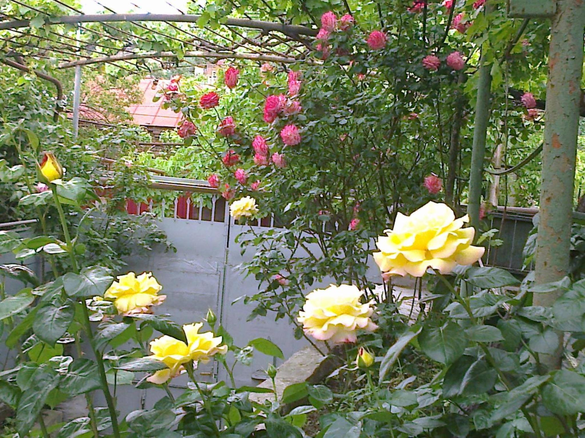 Photo 14