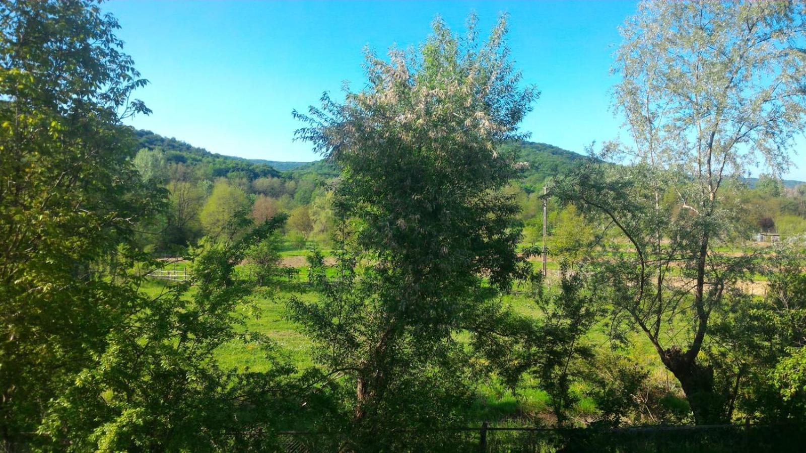 Pensiunea Casa Ghica