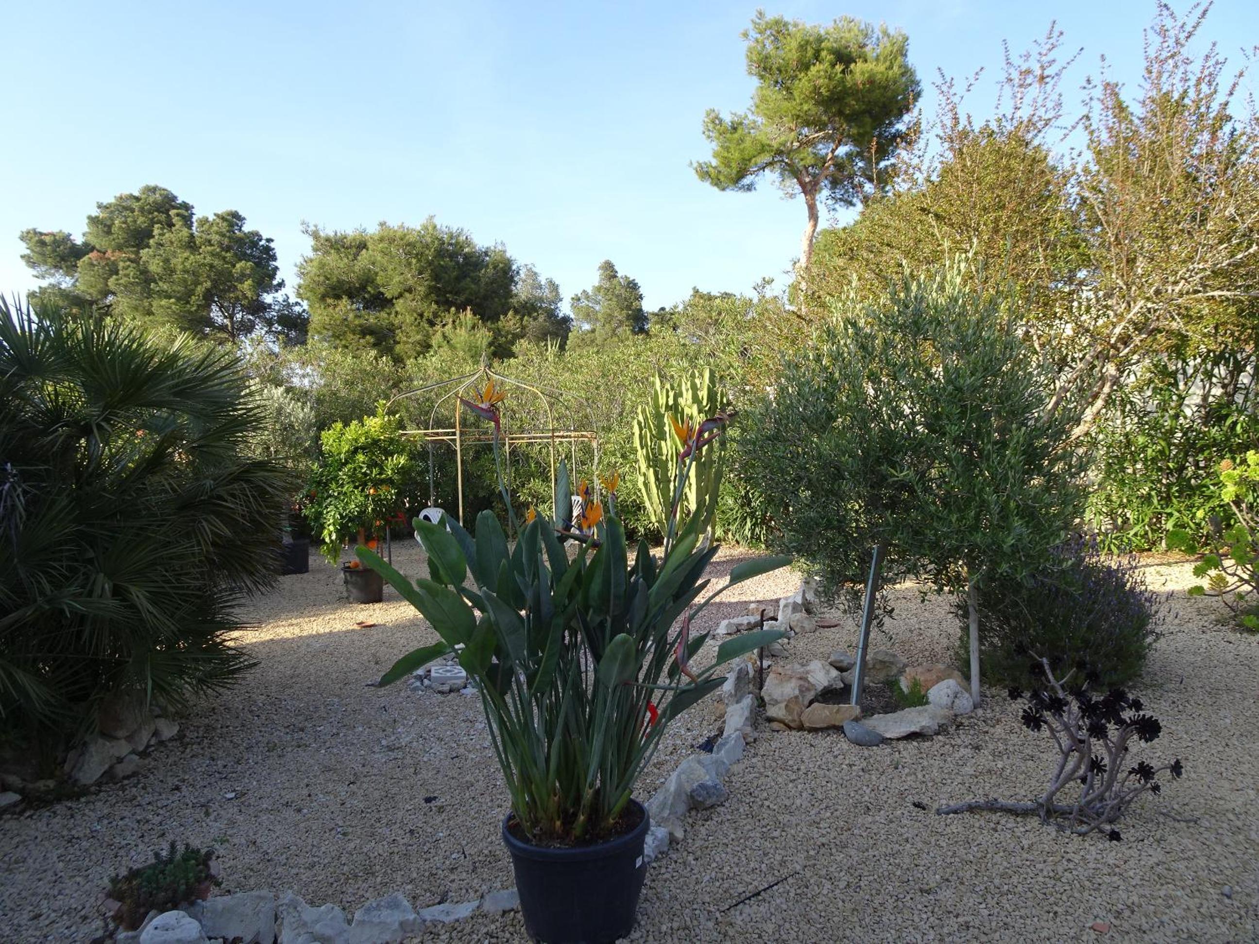 Photo 22