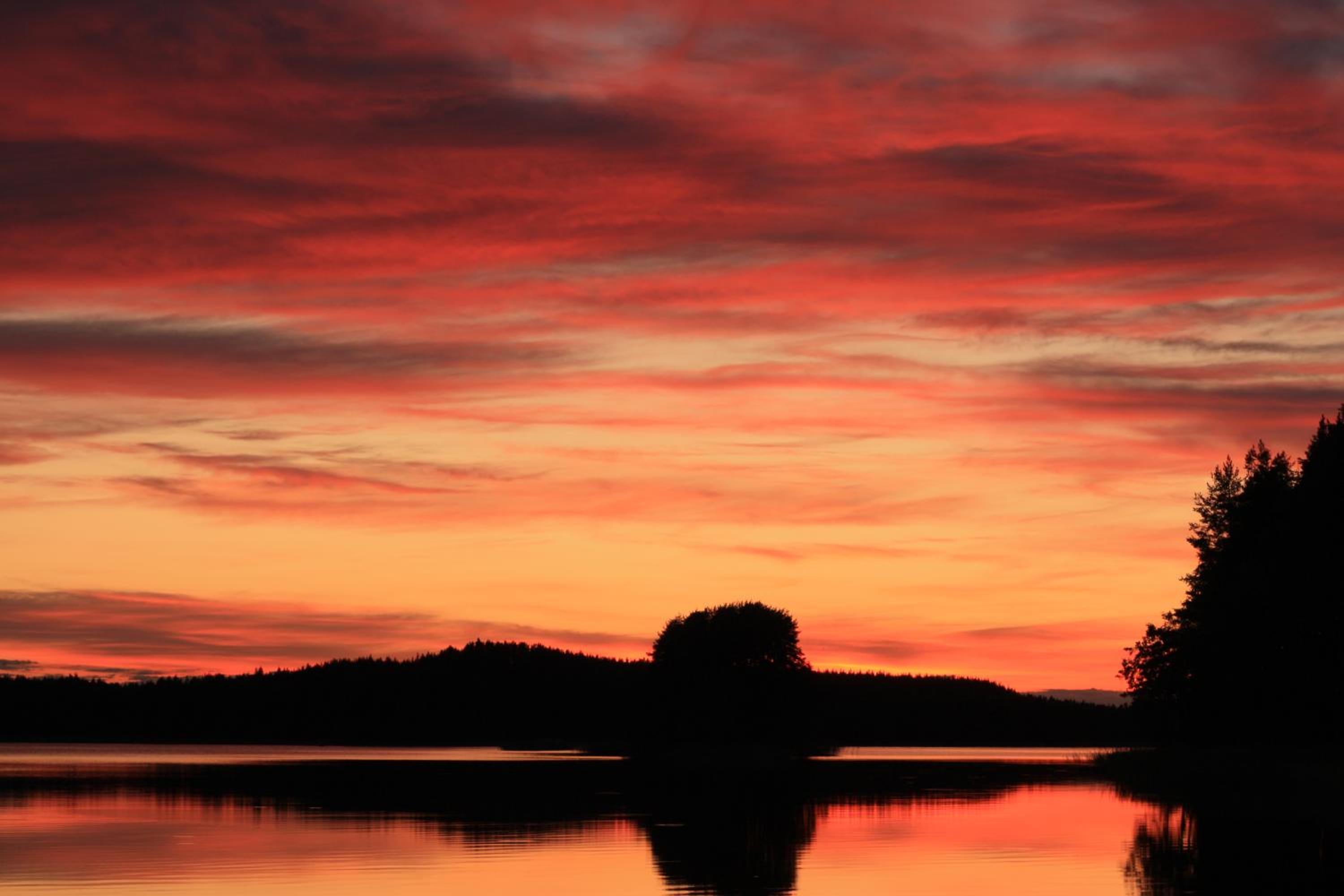 Lomasaaret - Property Image 45