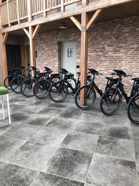 B&B Sasput