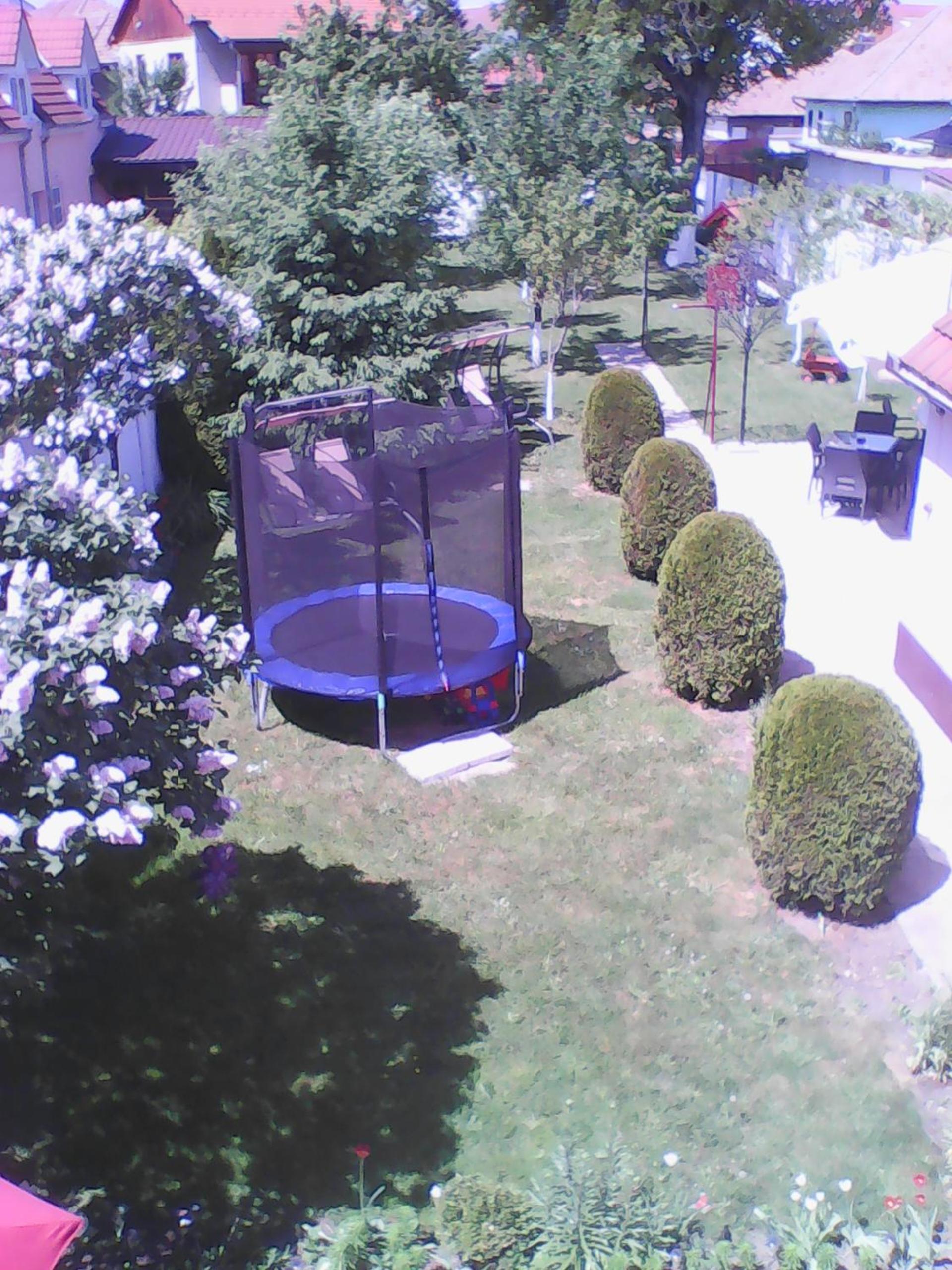 Photo 42