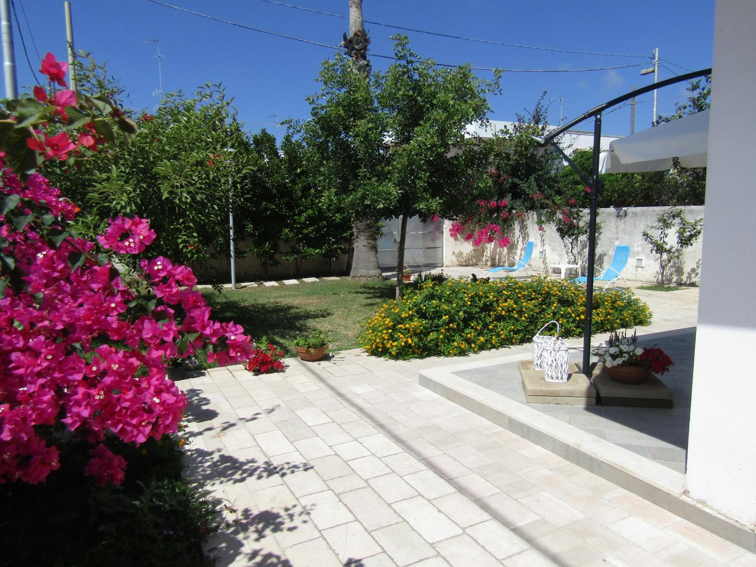 Photo 25