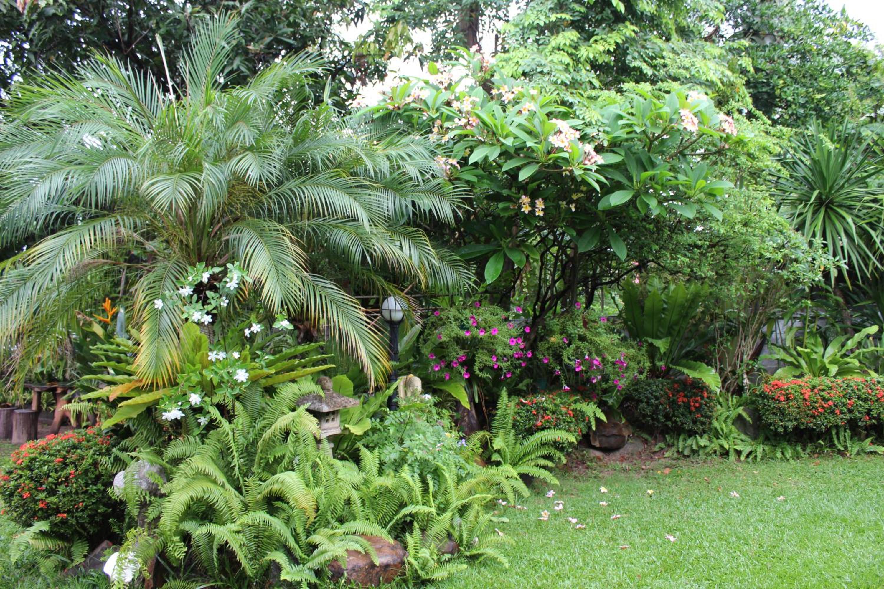 White Elephant Resort
