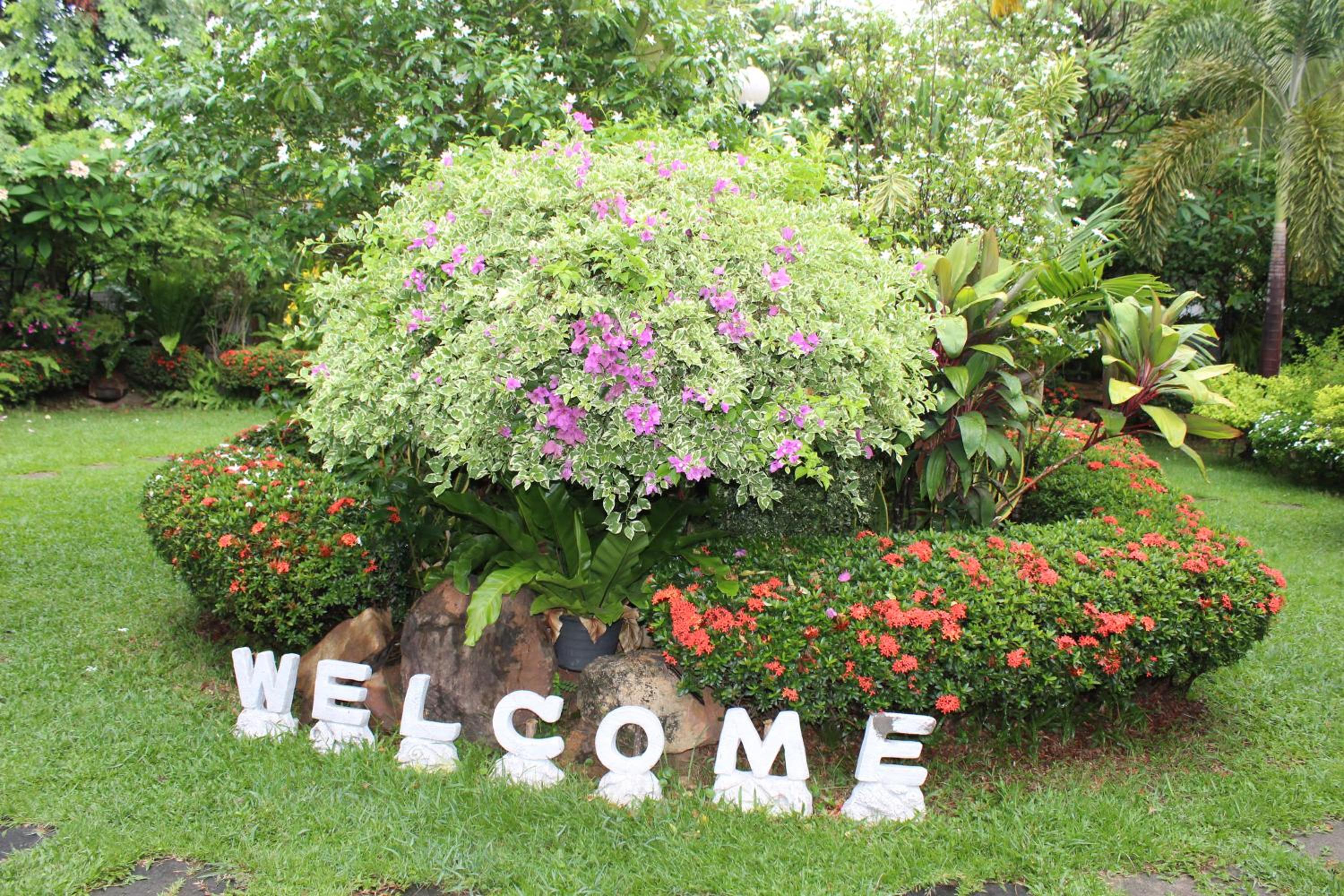 White Elephant Resort
