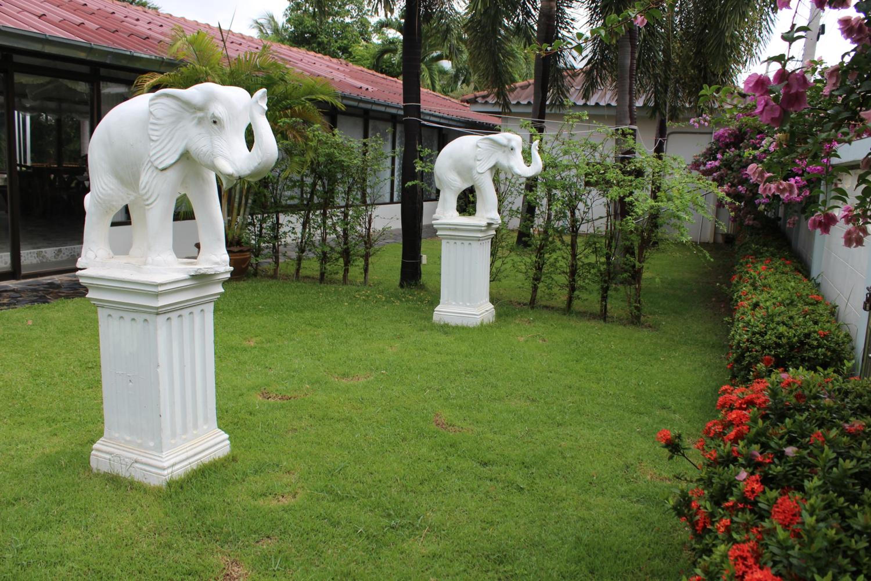 White Elephant Resort