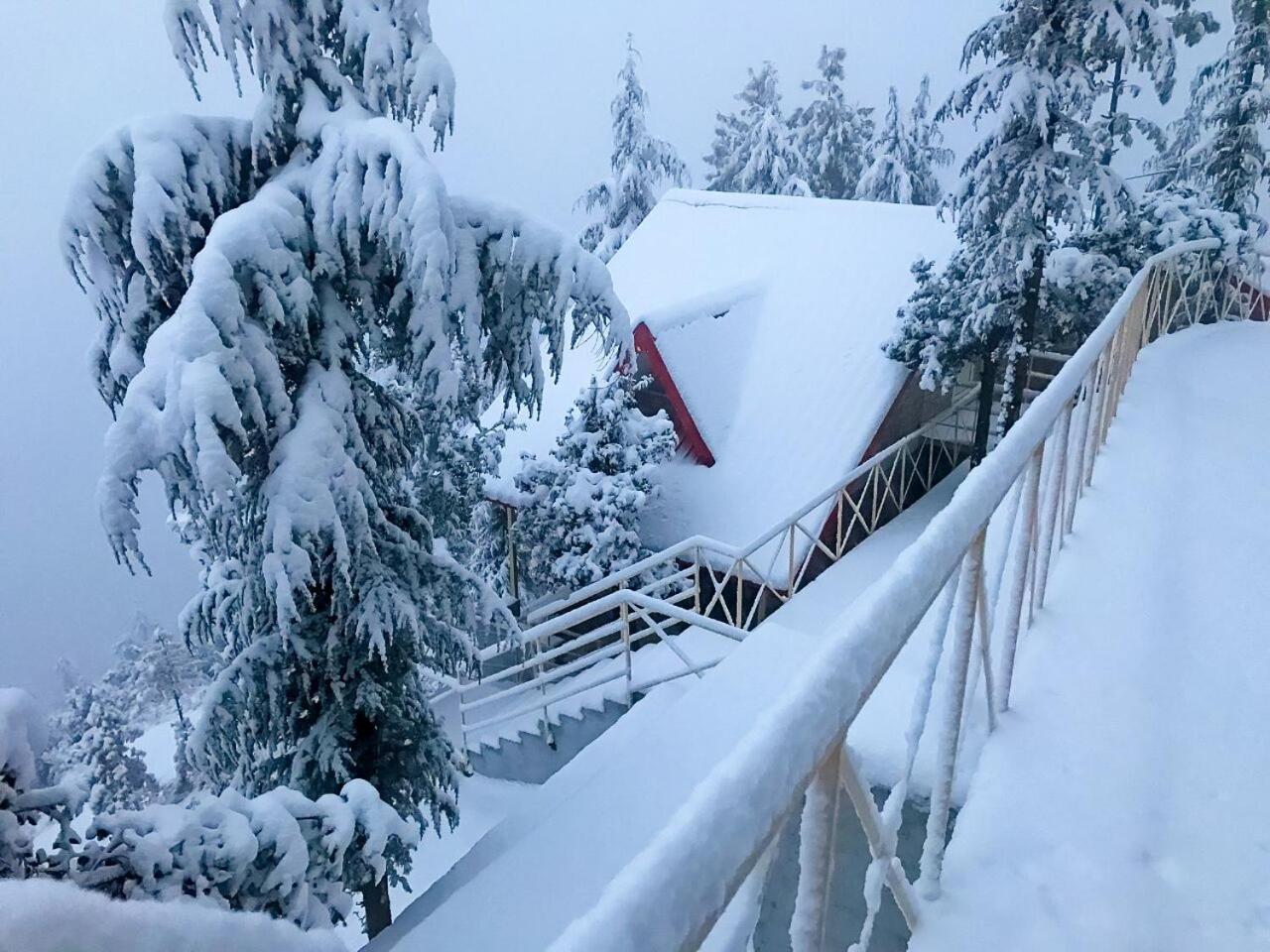 KVR Clarks Inn, Kufri