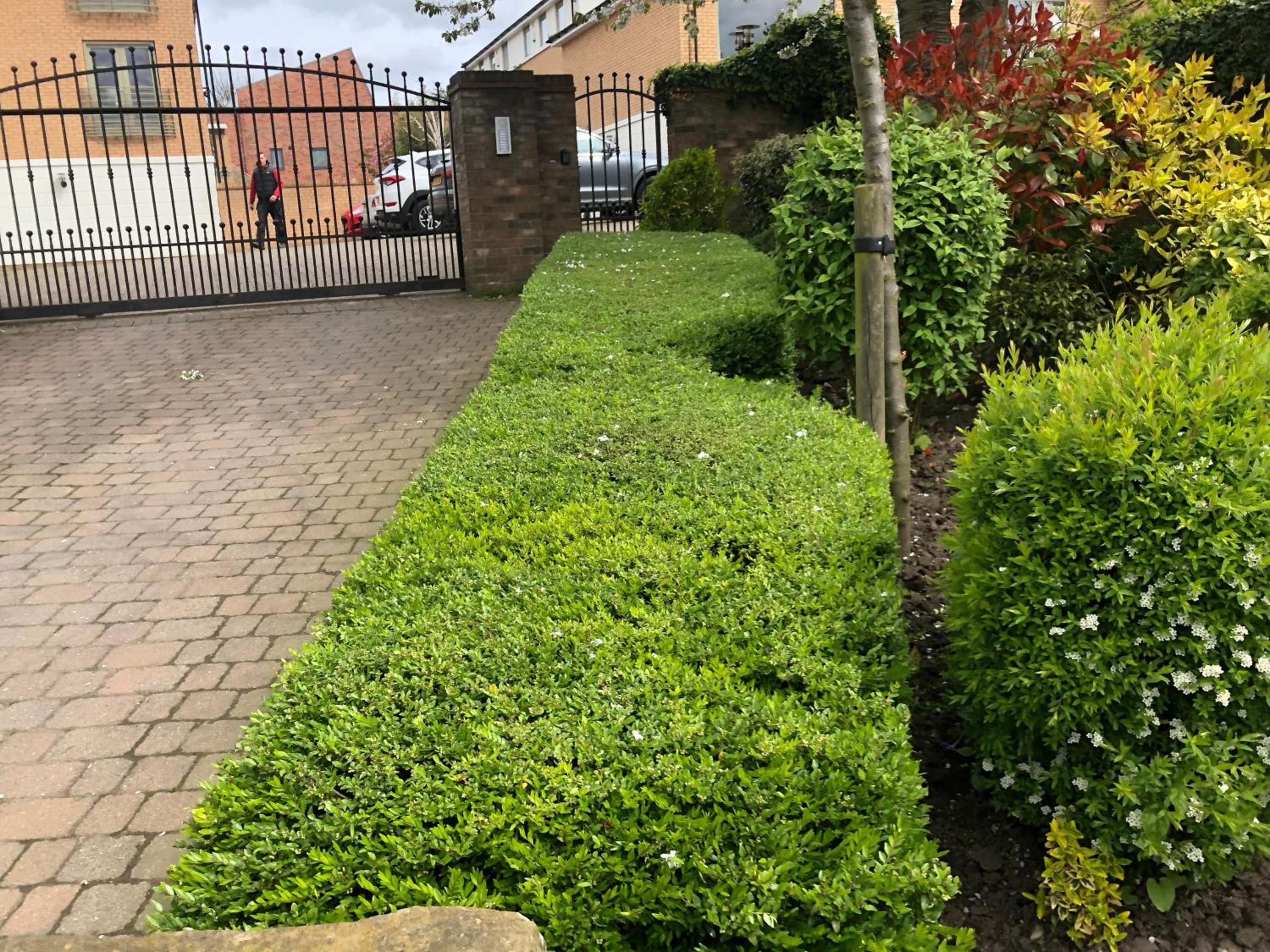 Photo 19
