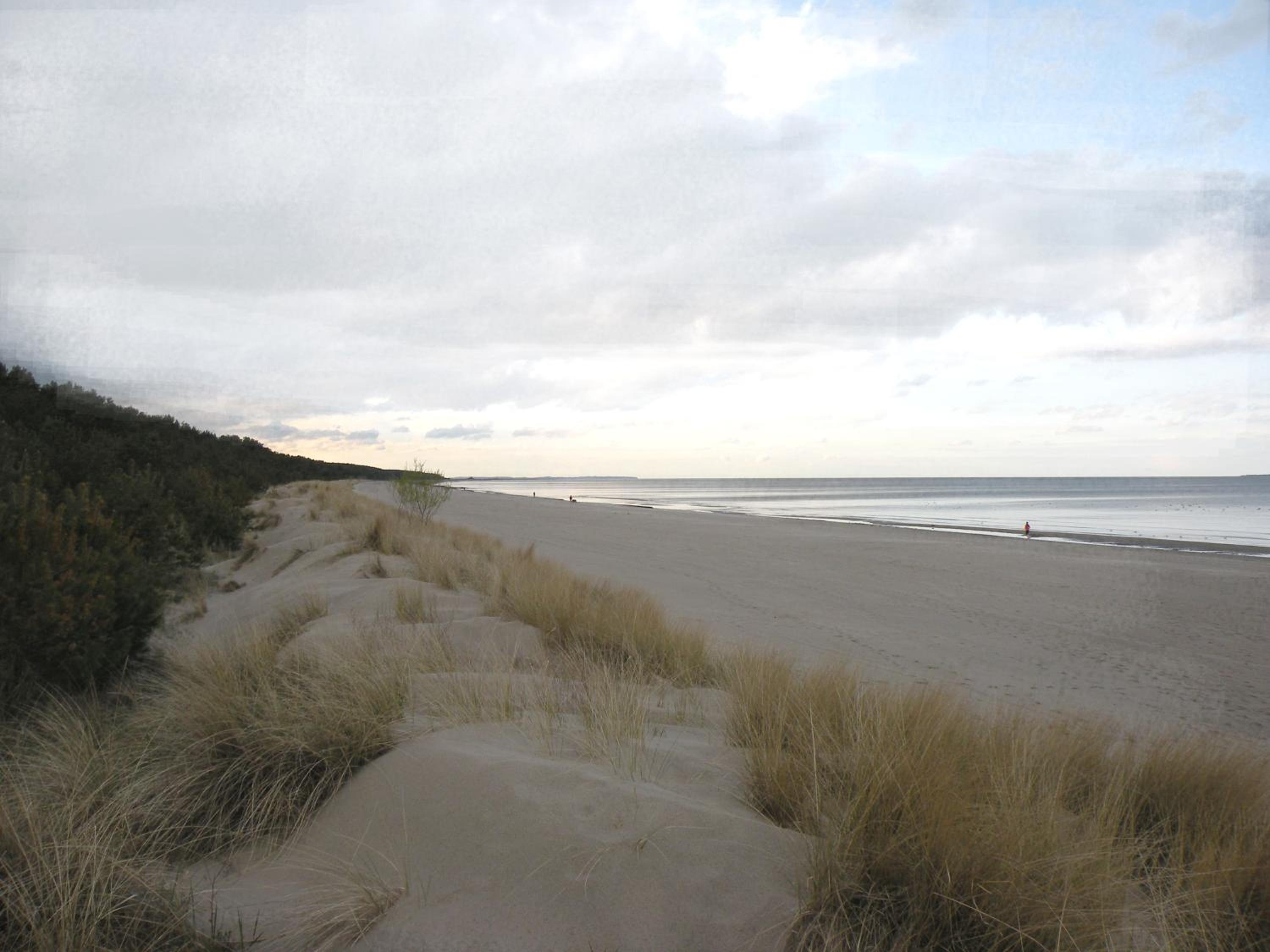 Düne 74