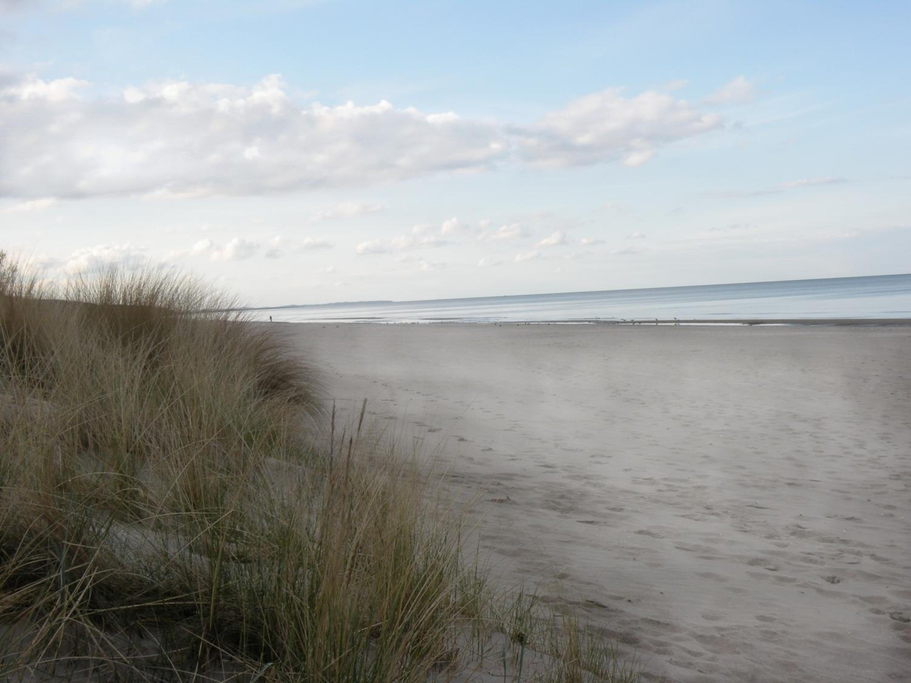 Düne 74