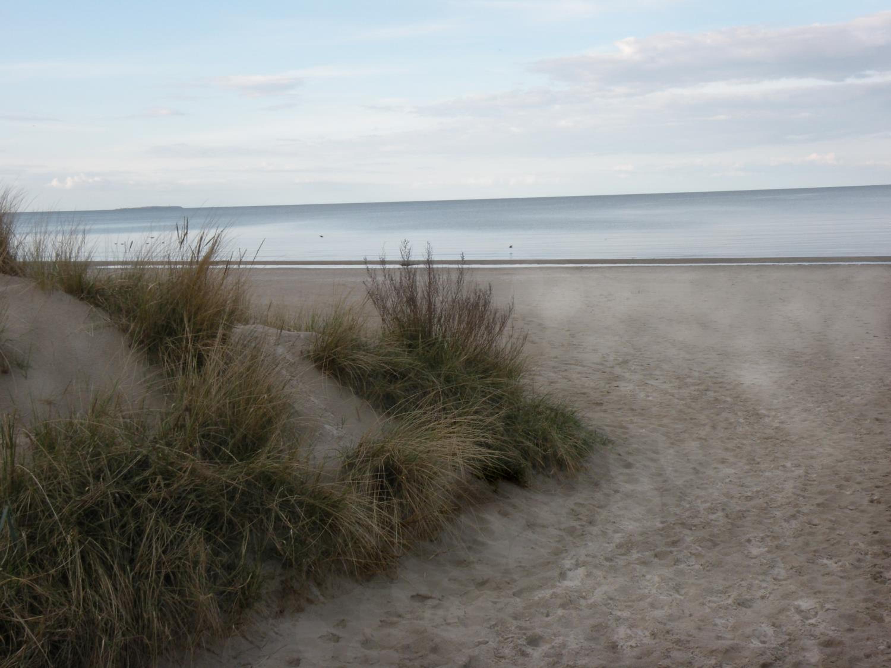 Düne 74