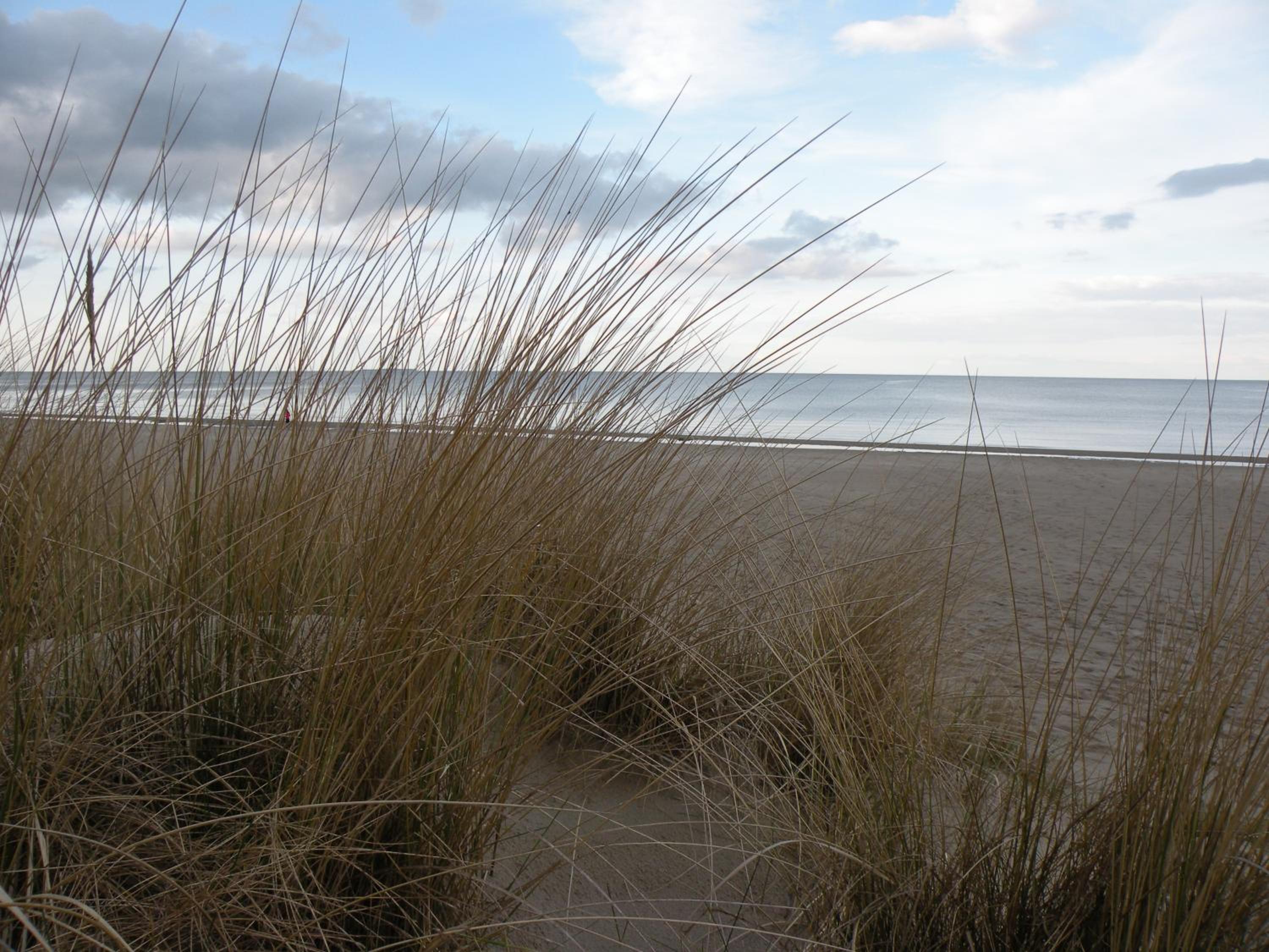 Düne 74