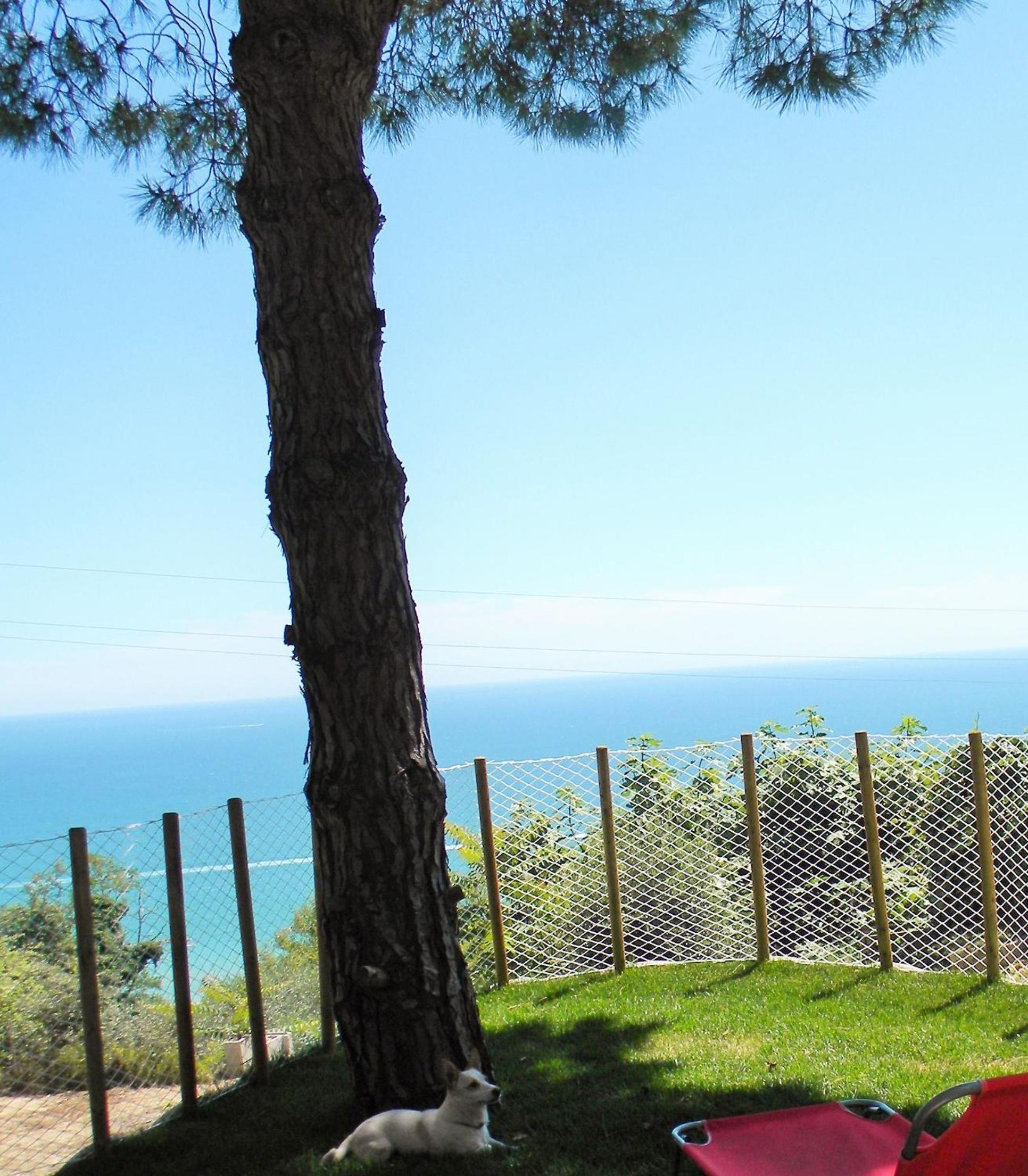 B&B Verderosa view 2