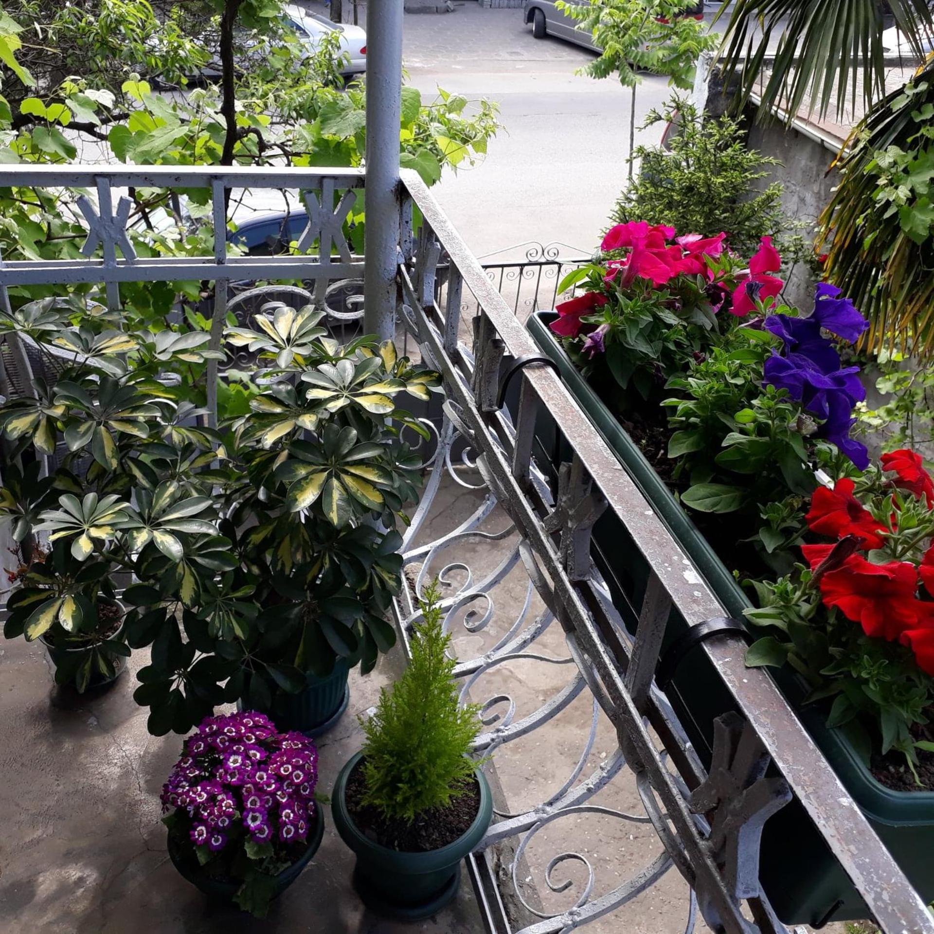 Homestay Izolda