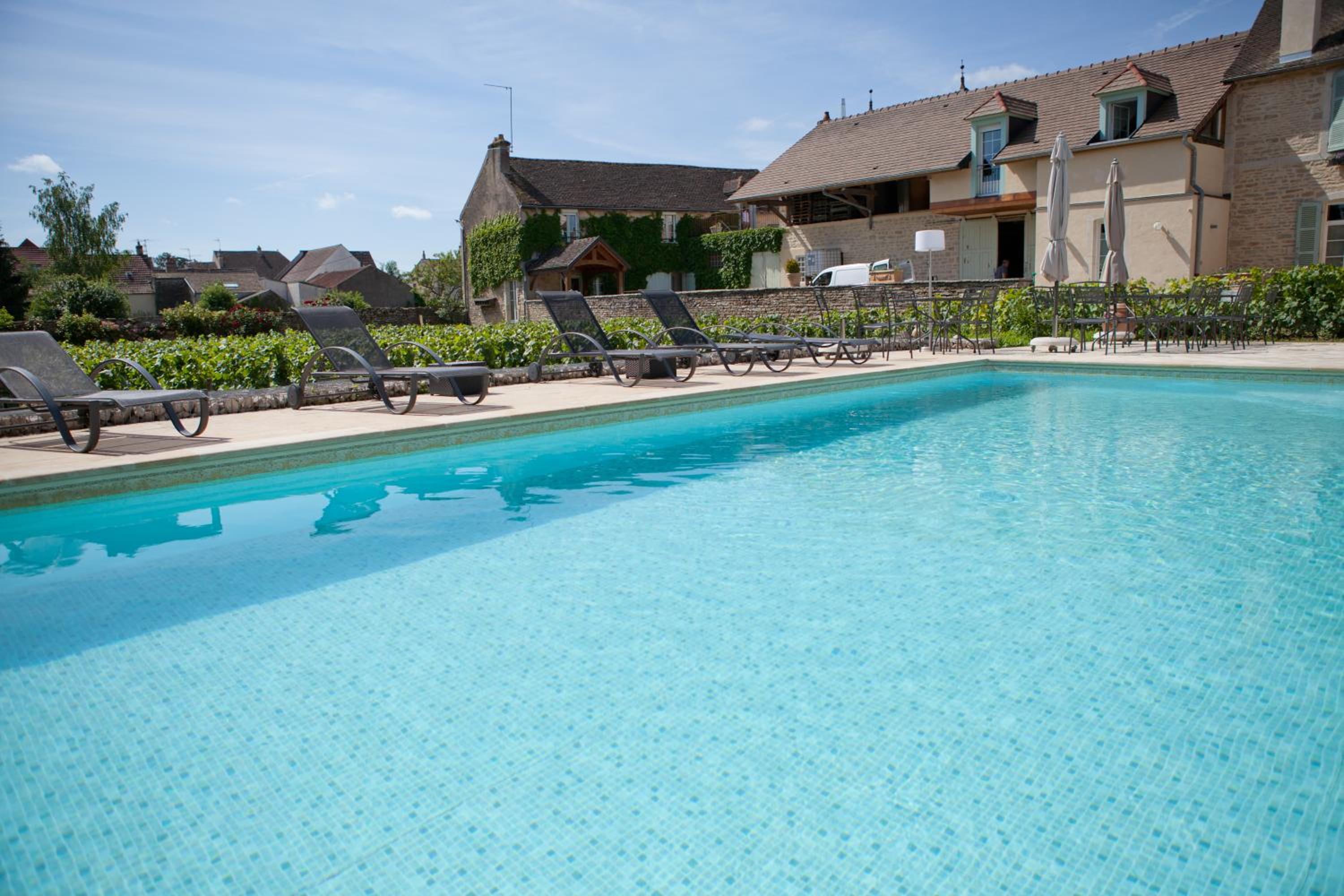 Domaine VIOLOT-GUILLEMARD view 2