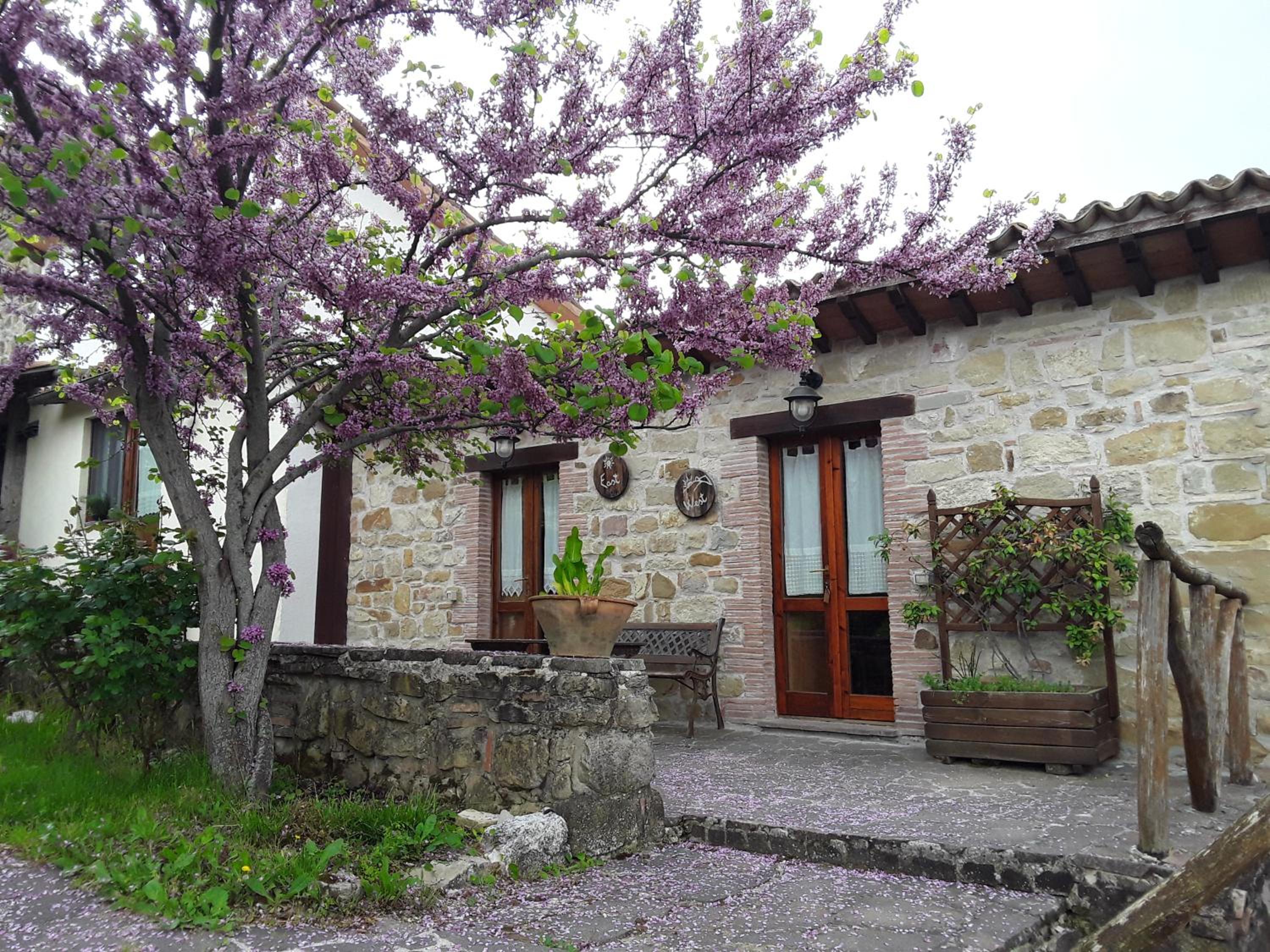 B&B Caselunghe