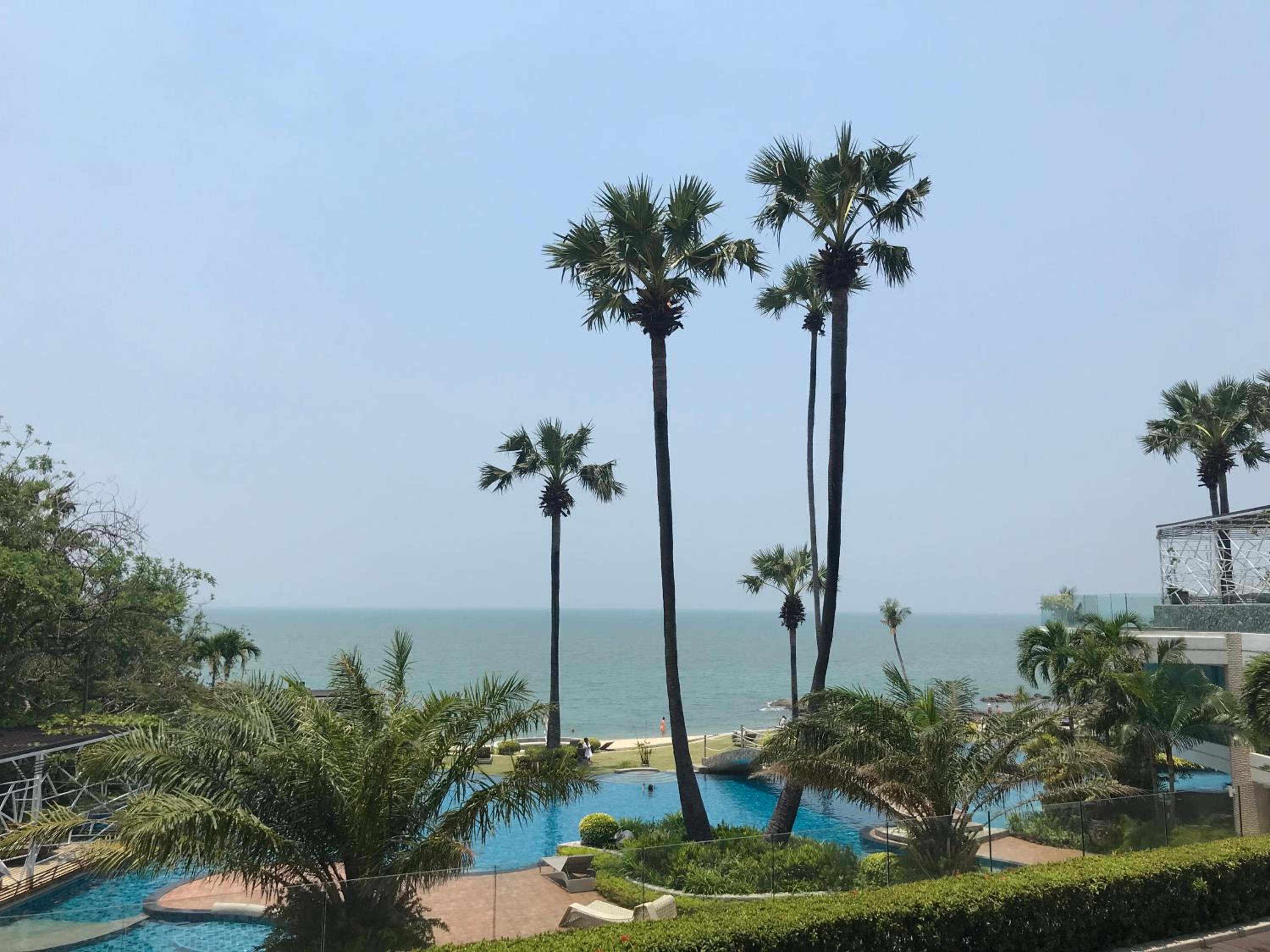The palm wongamat pattaya view 3