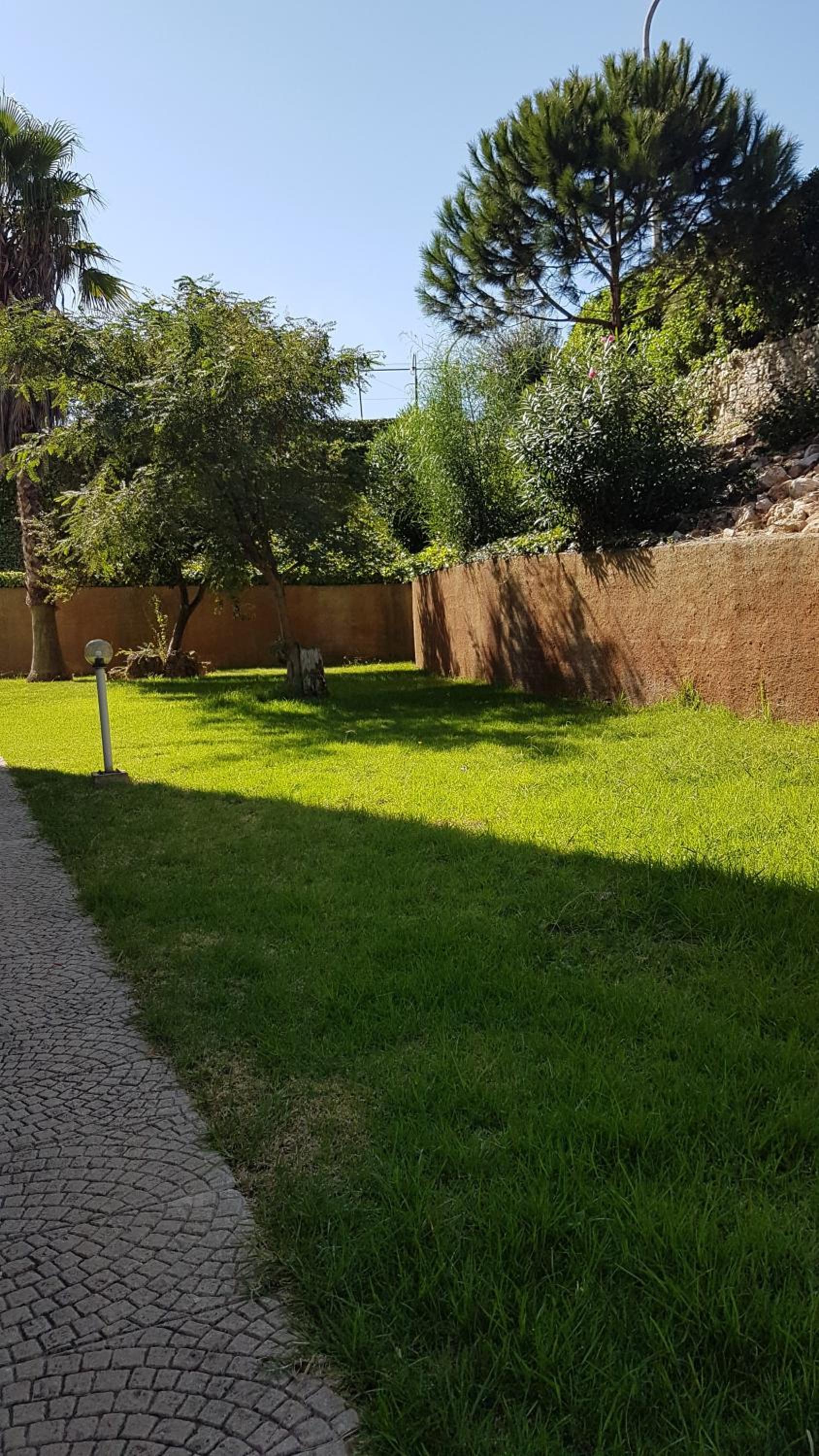 Photo 24