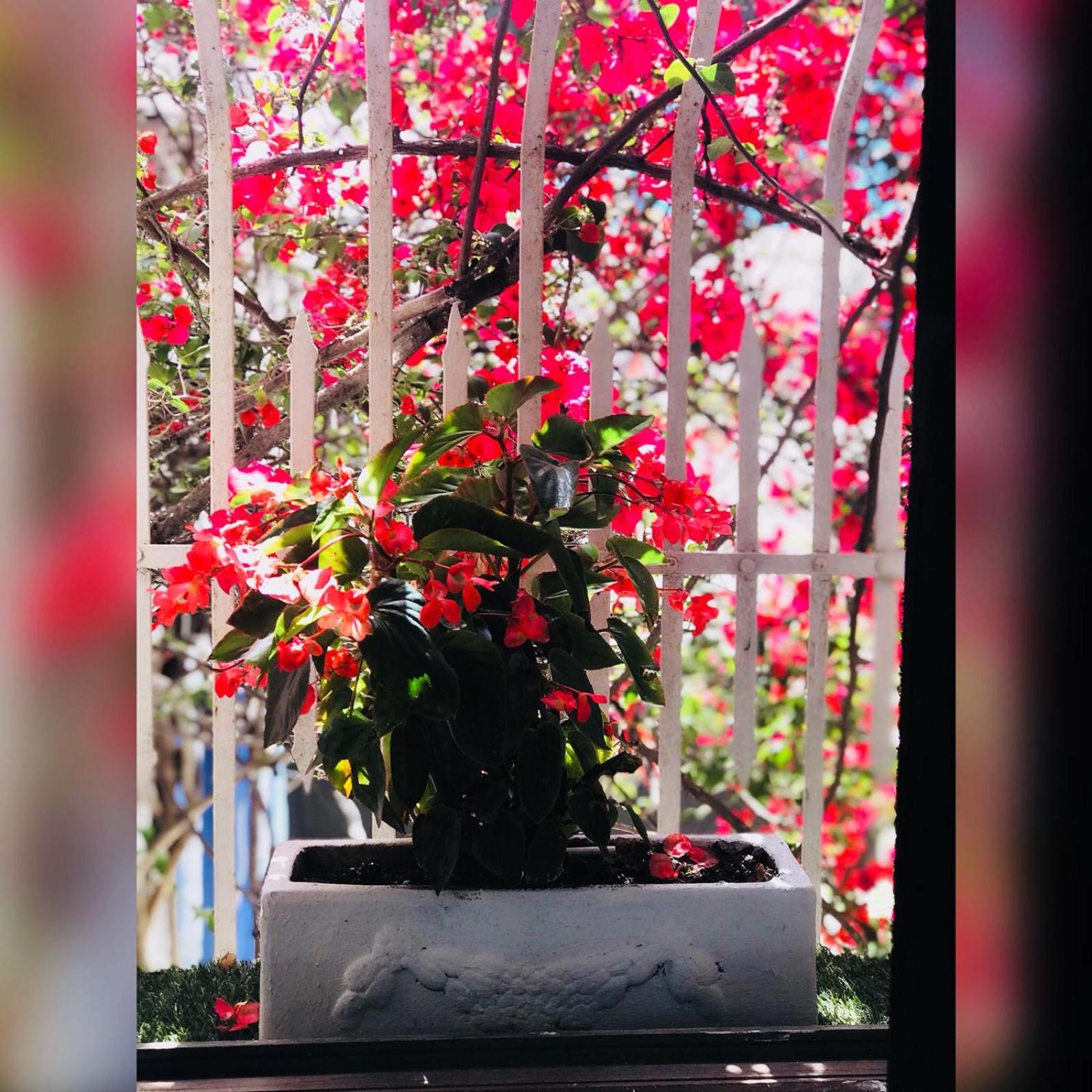 8 oDa Marmaris - Image 5