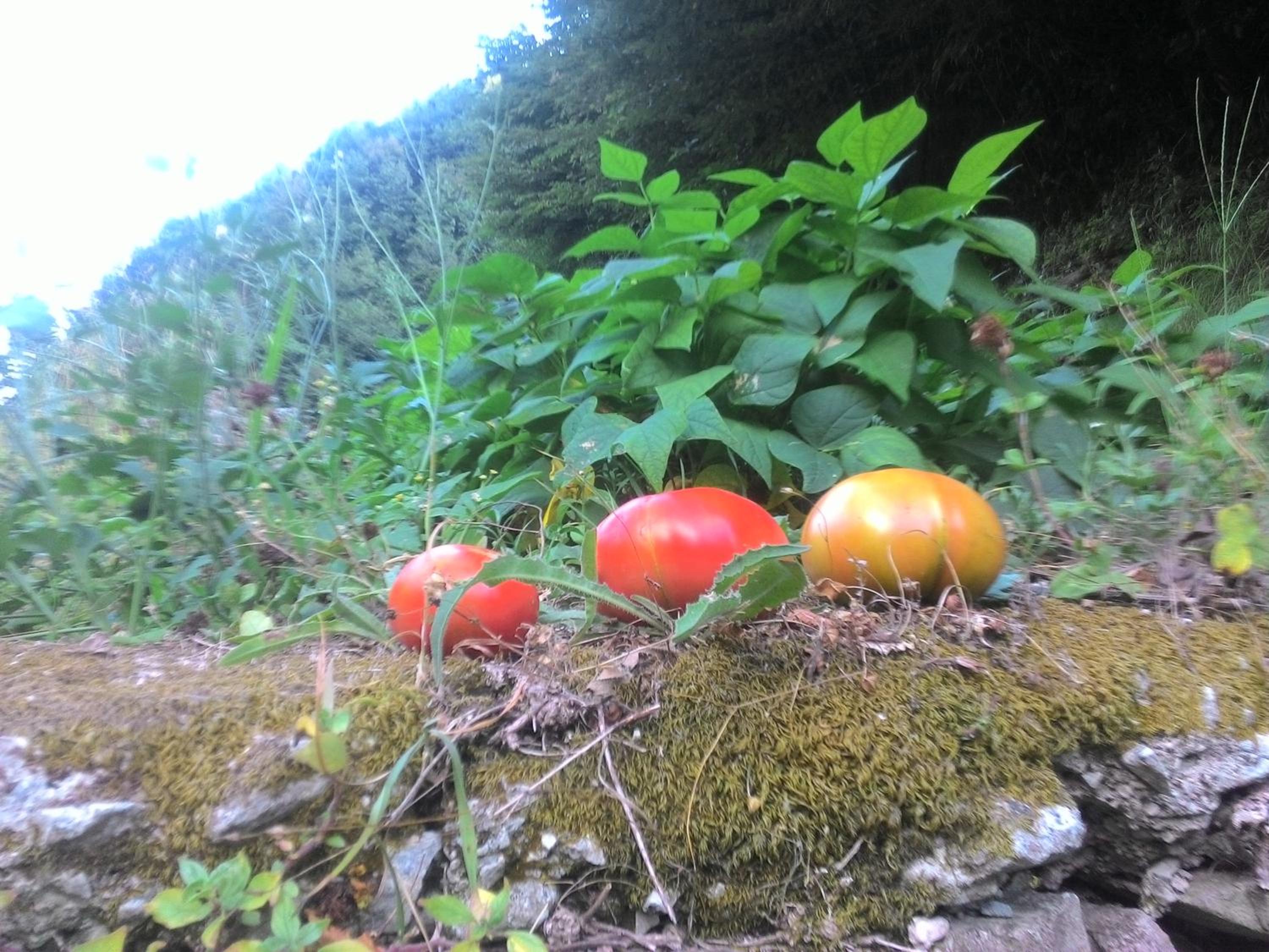Photo 19