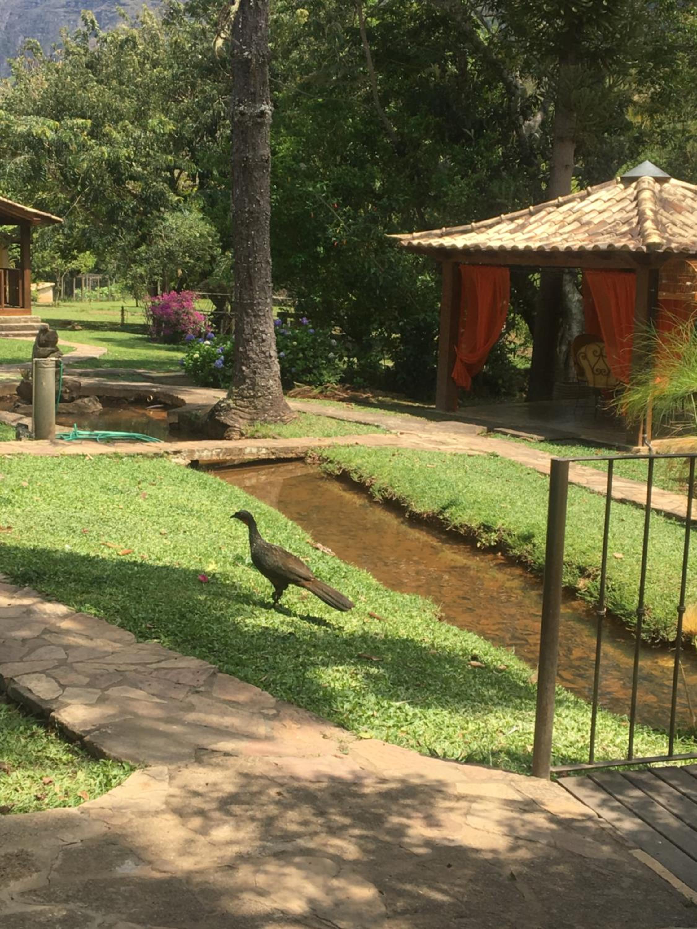 Calcada Sao Jose