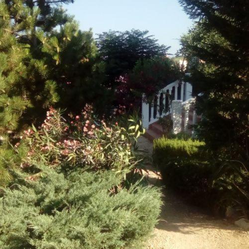 Photo 48