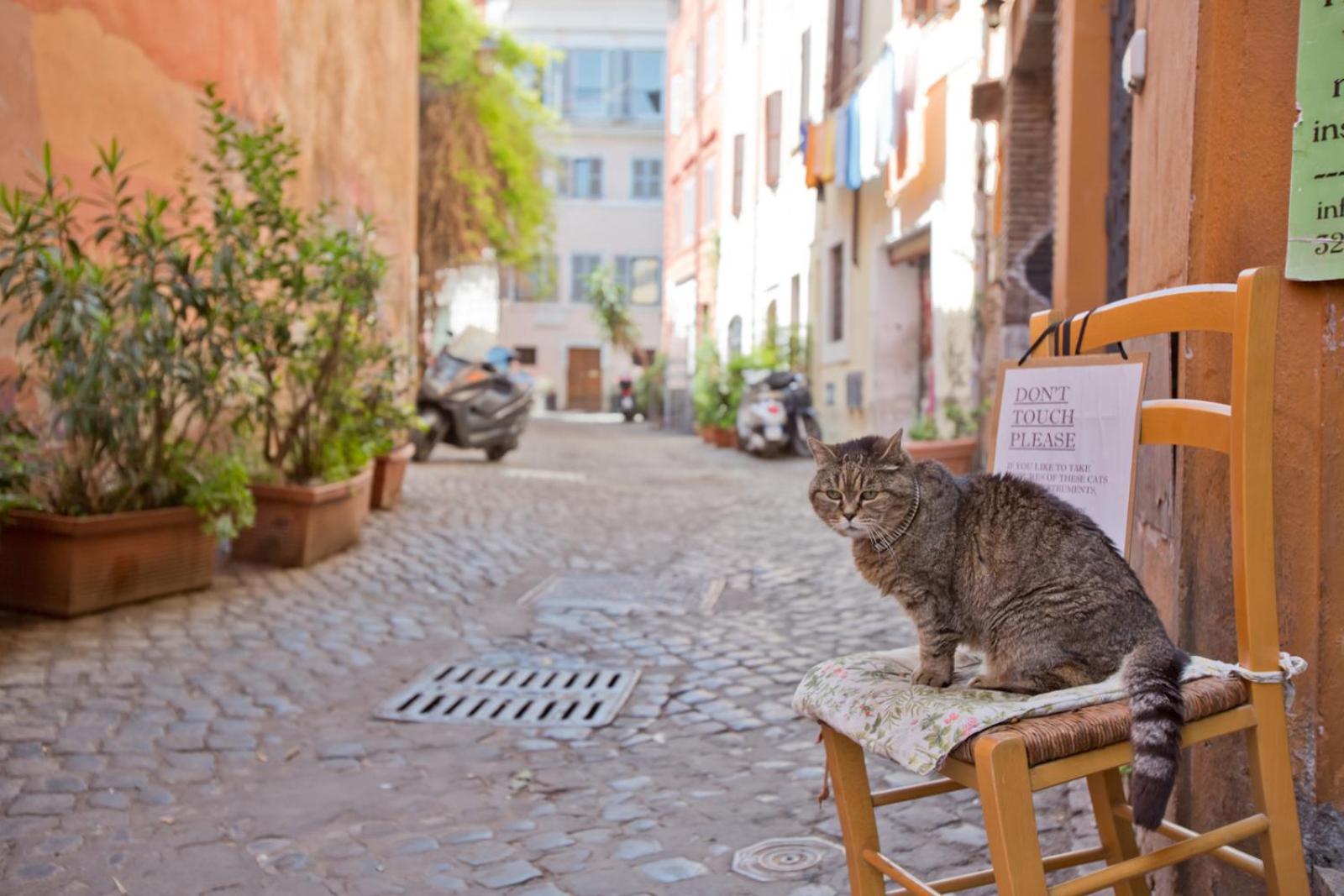 Il Leopardo (Trastevere)
