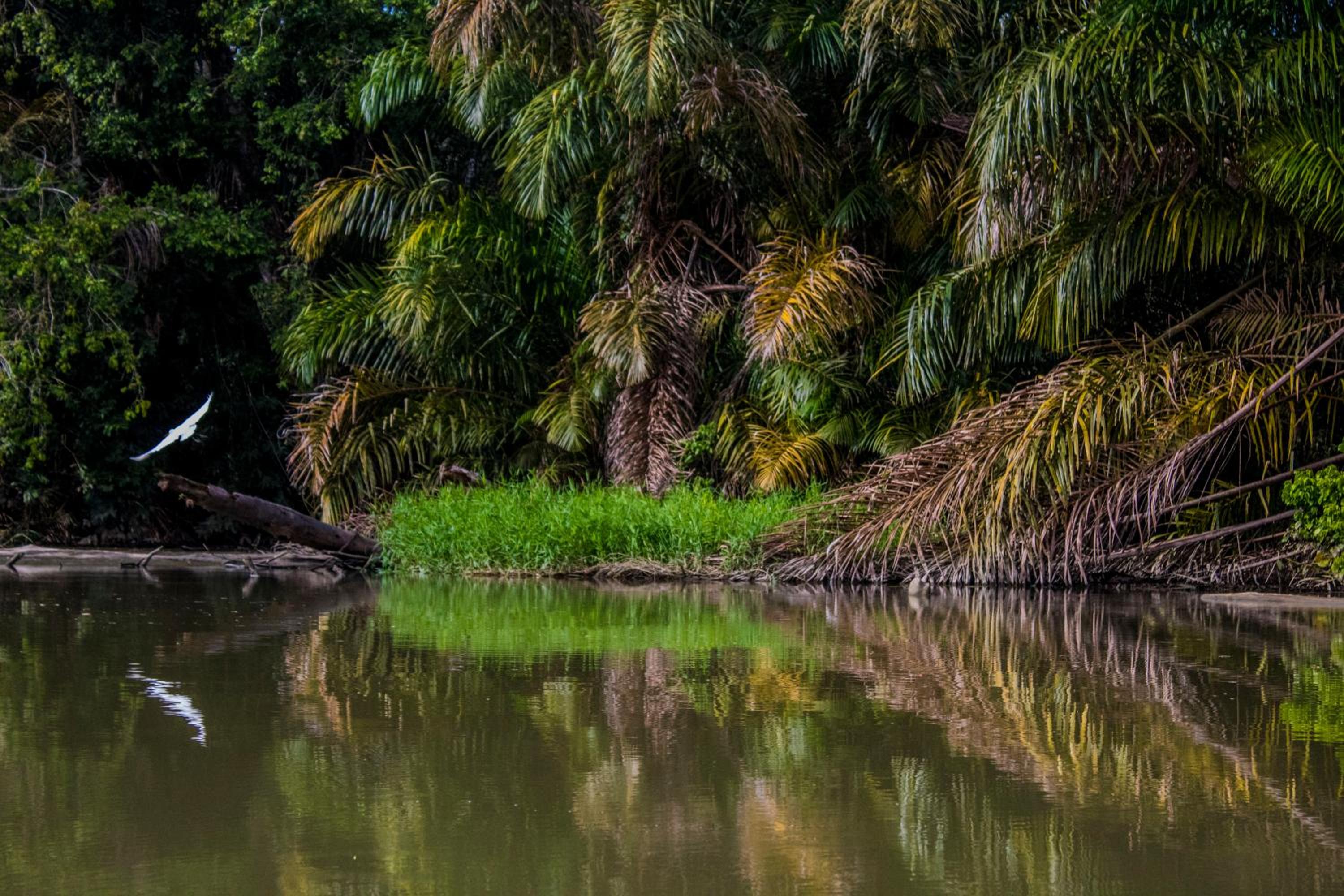 Casa Grande at Pacuare Reserve