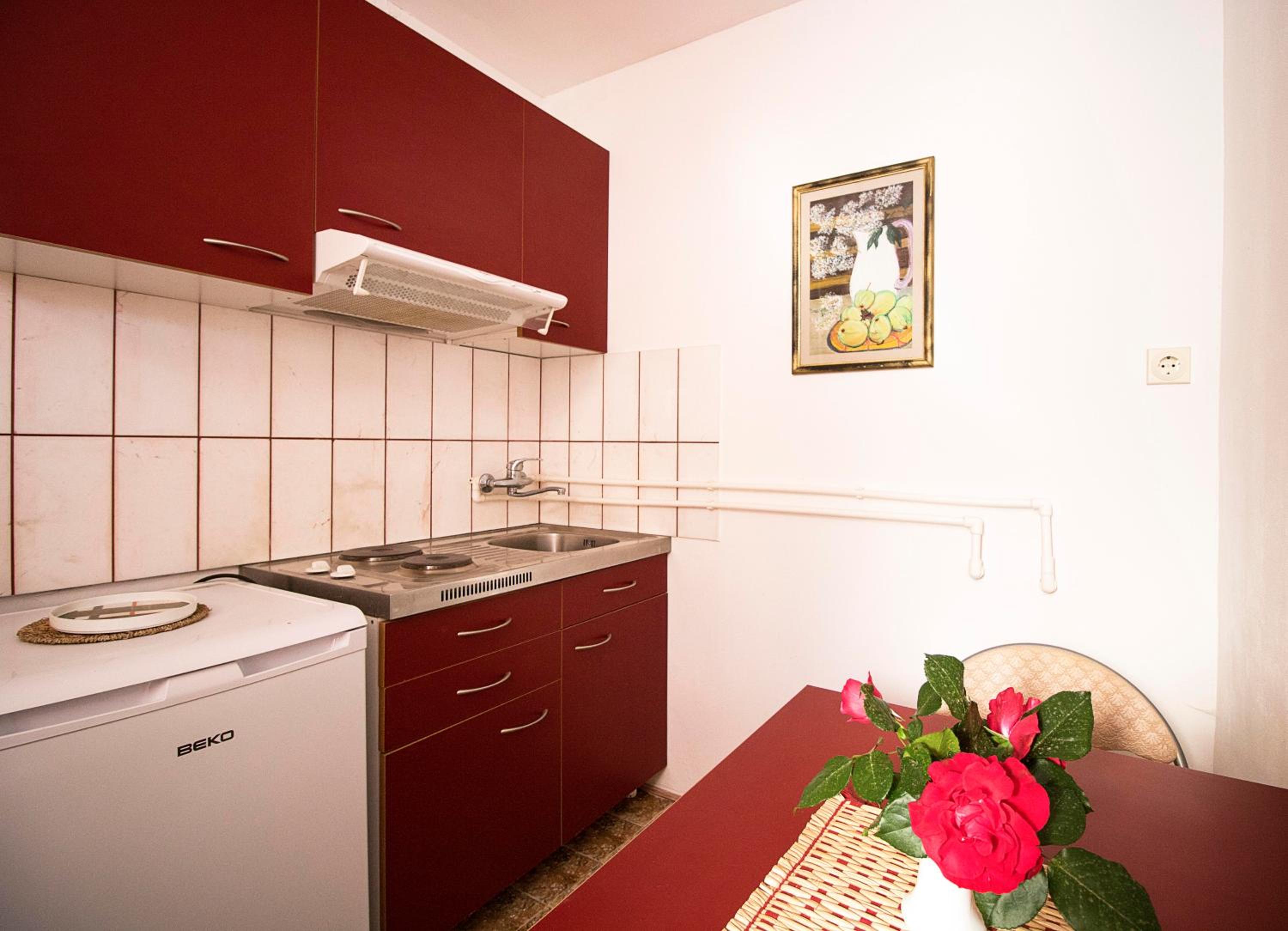 Apartmani Rakic