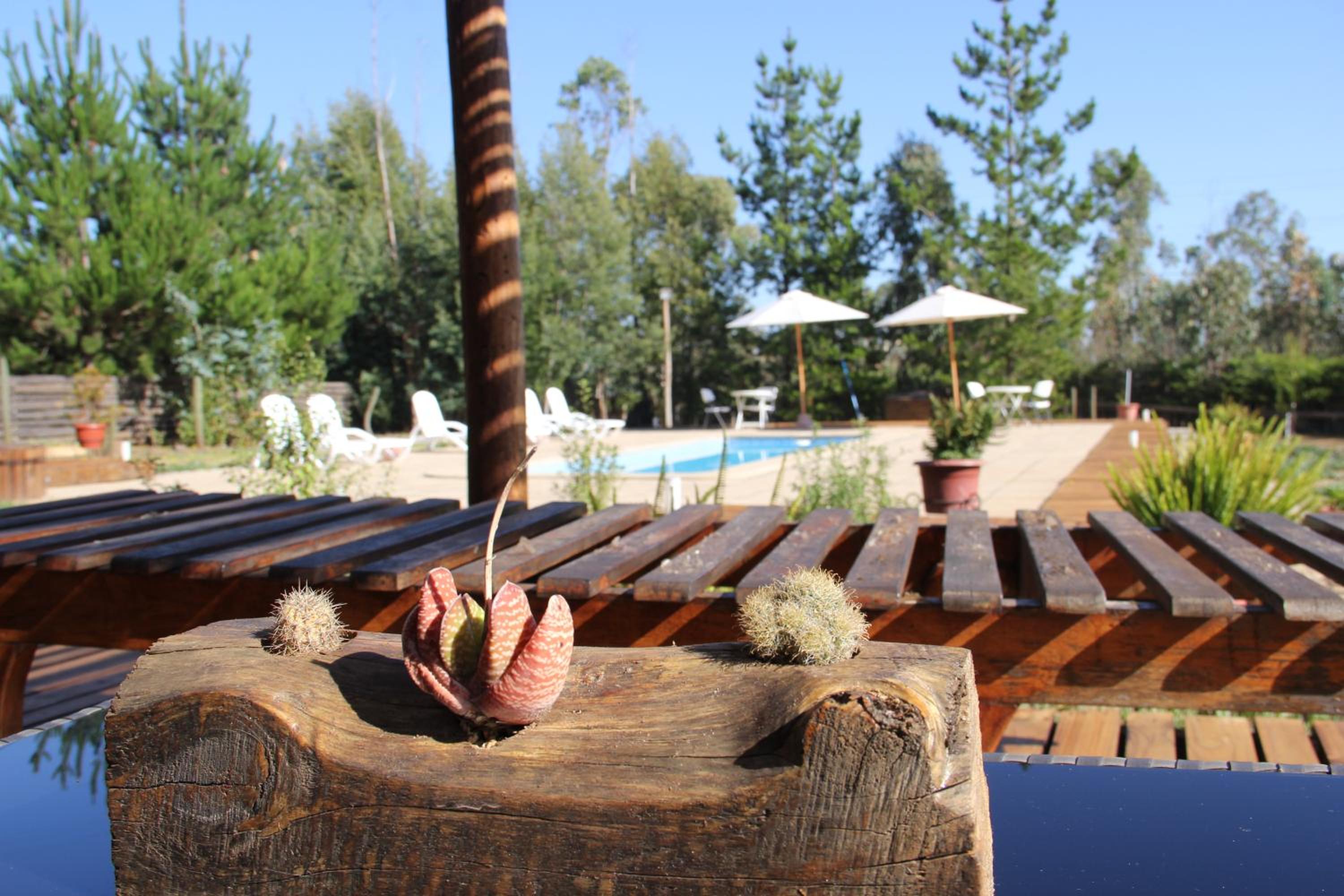 Bosques de San José Lodge