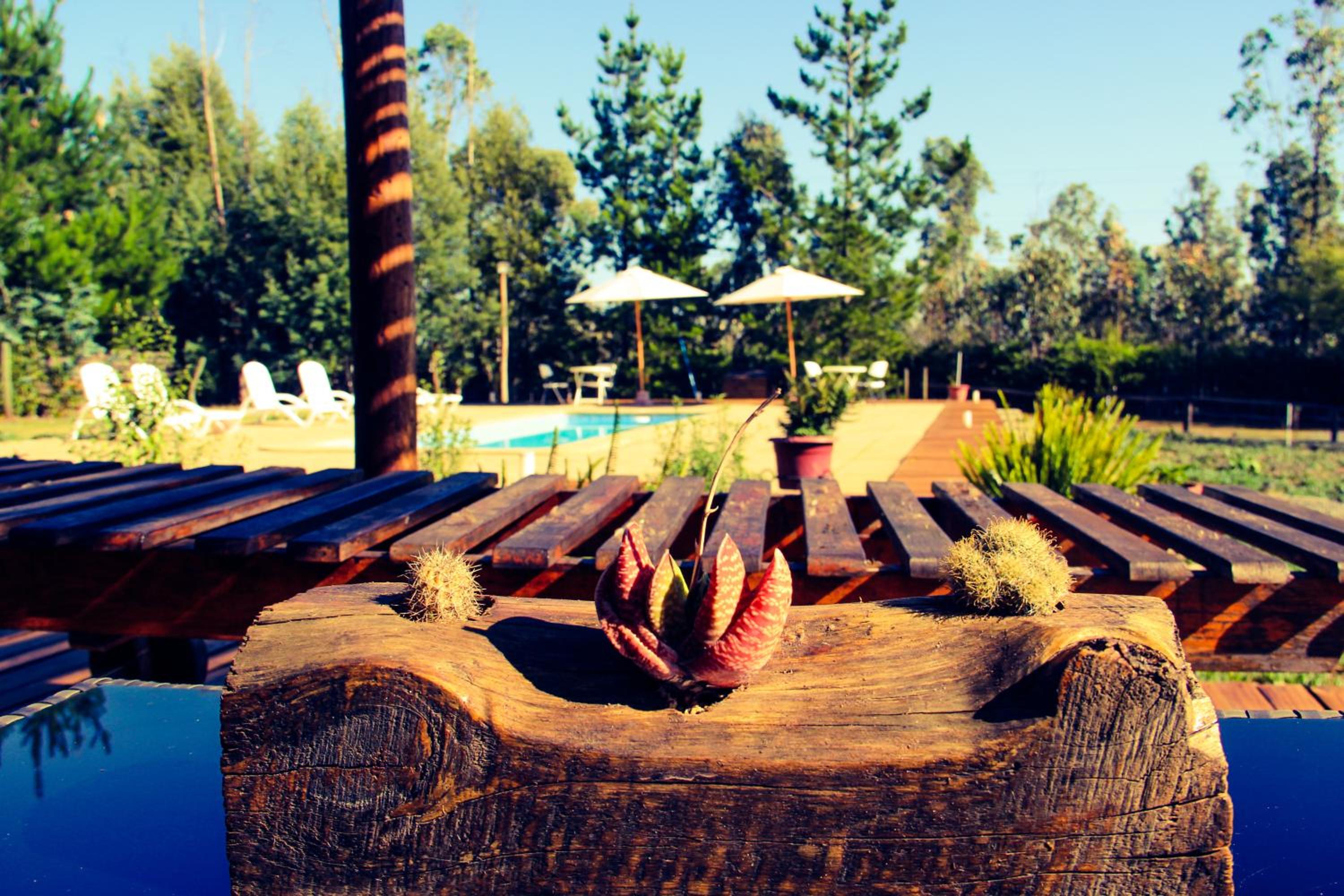 Bosques de San José Lodge