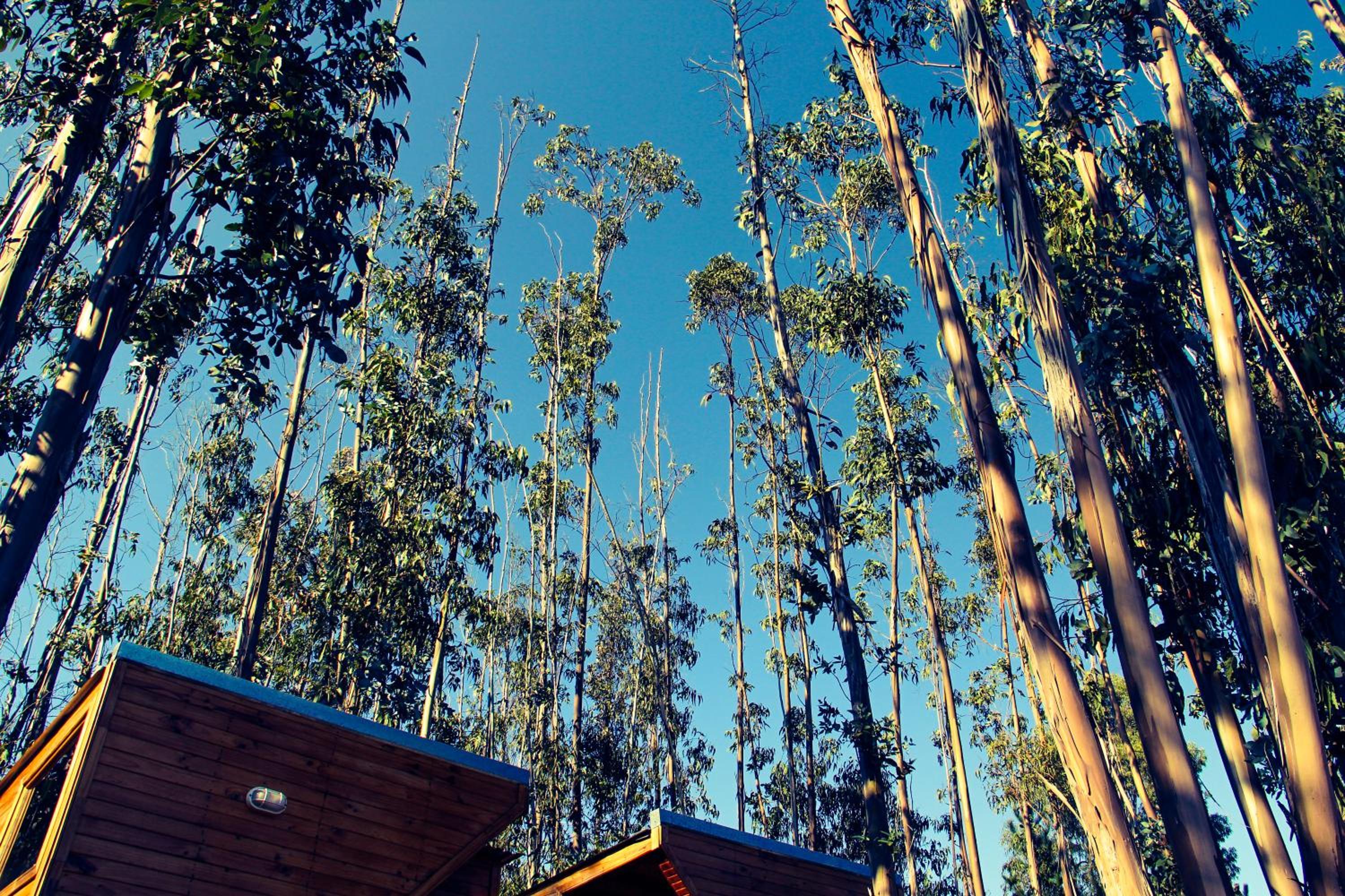 Bosques de San José Lodge