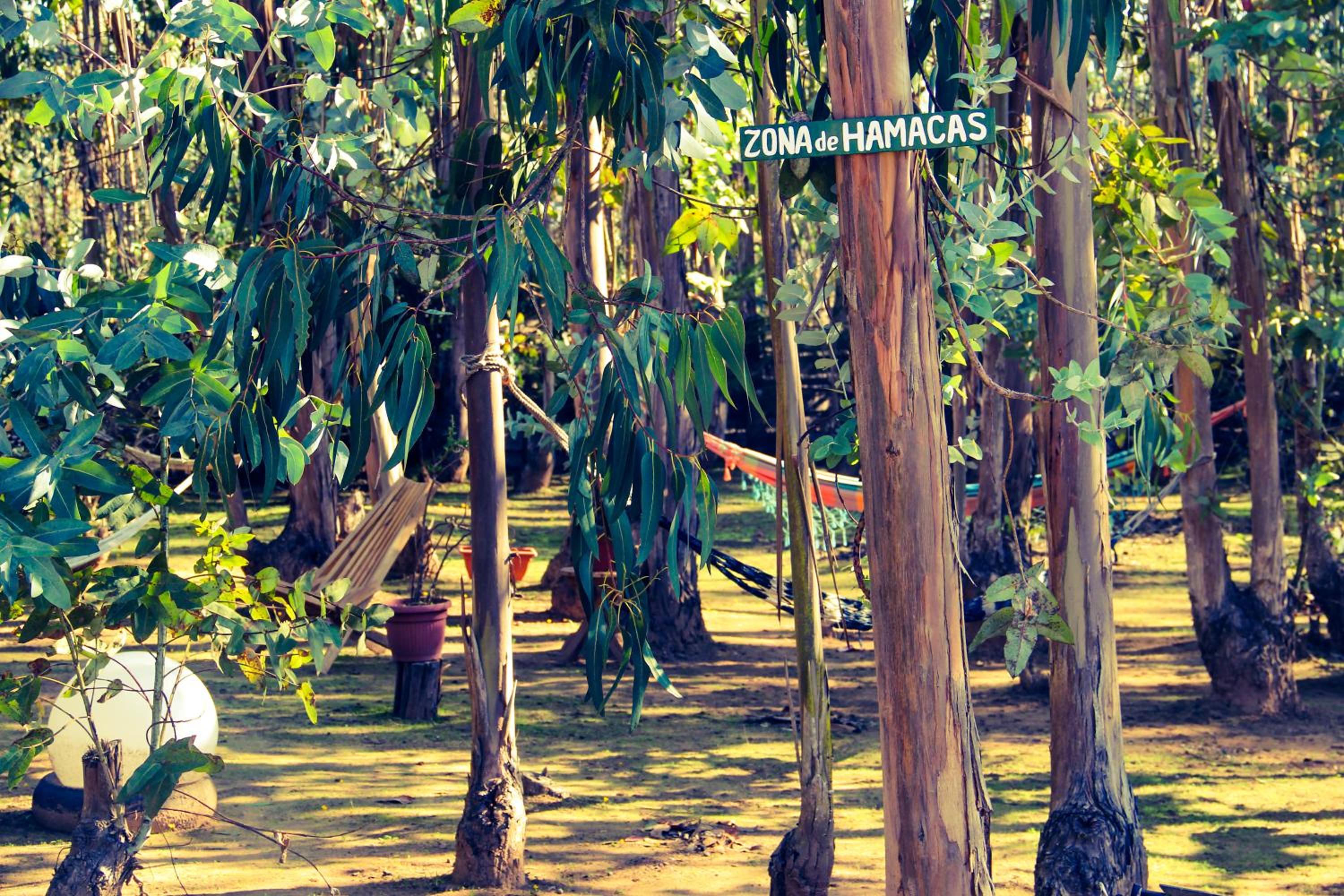 Bosques de San José Lodge