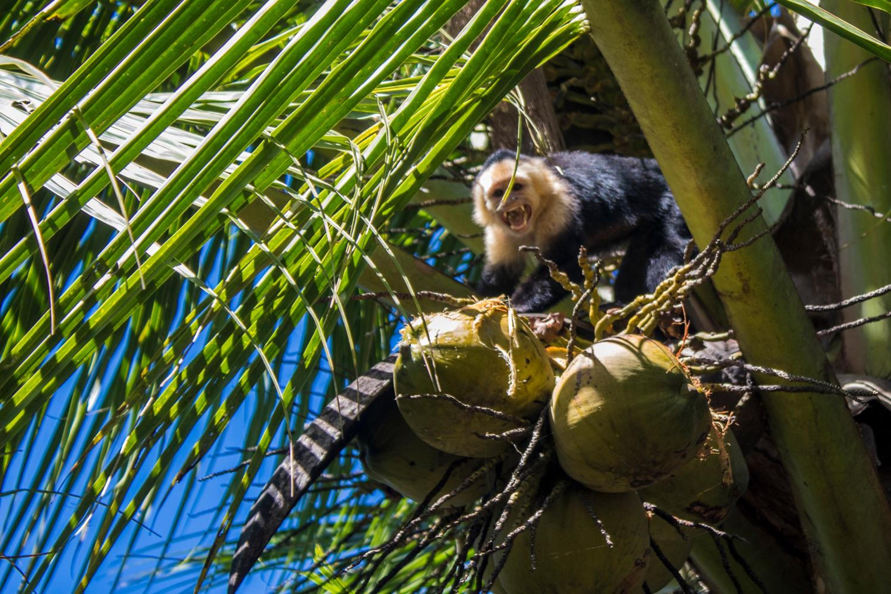 Casa Grande at Pacuare Reserve