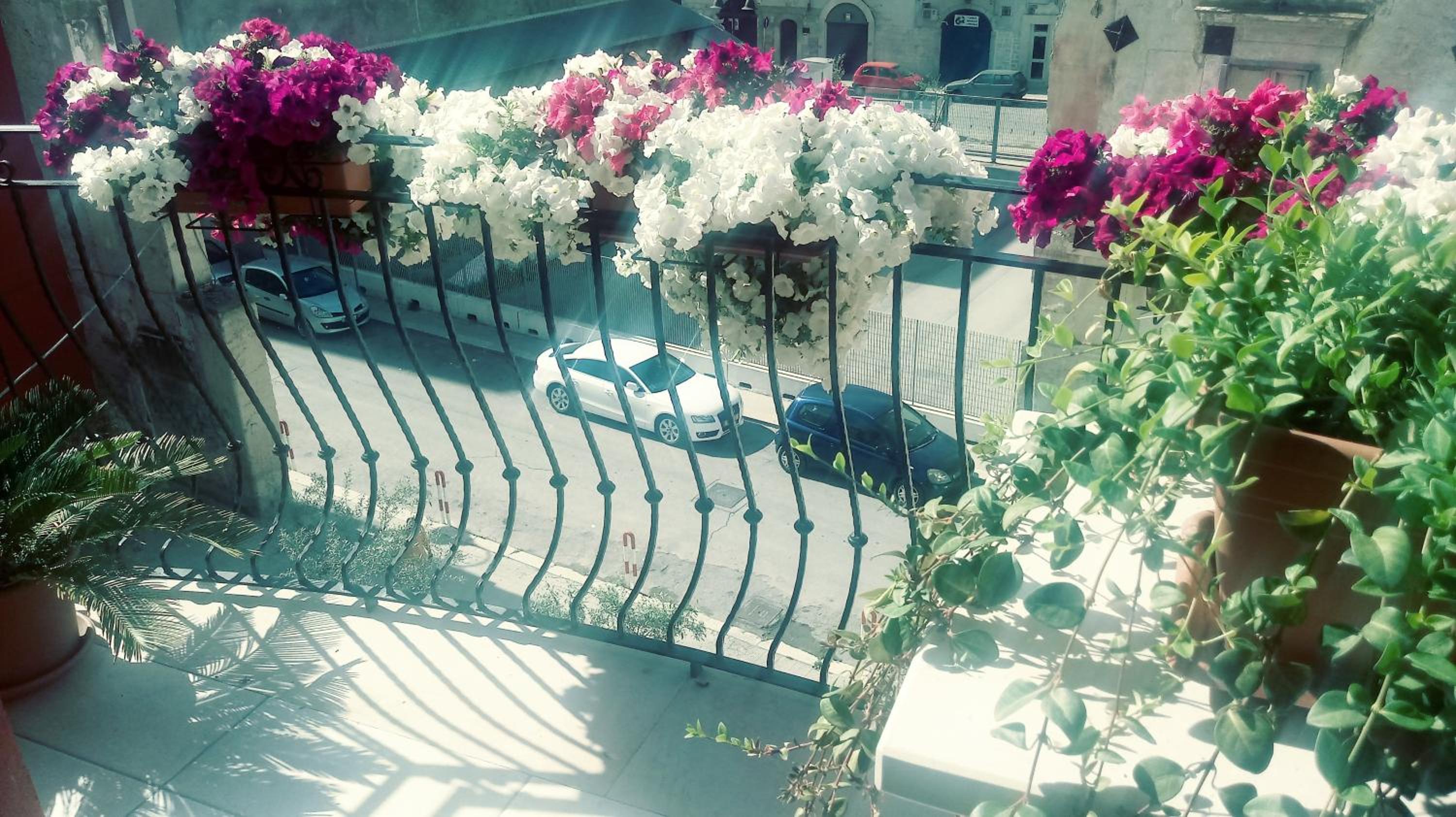 B&B Al Vecchio Borgo photo 2