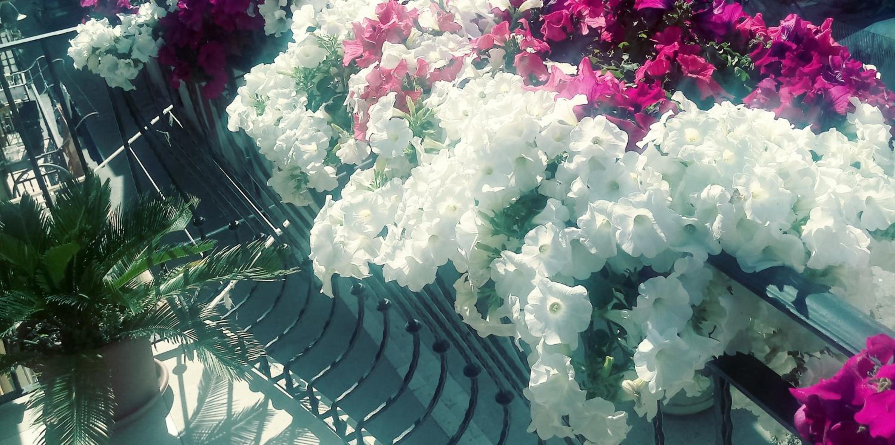 B&B Al Vecchio Borgo photo 5