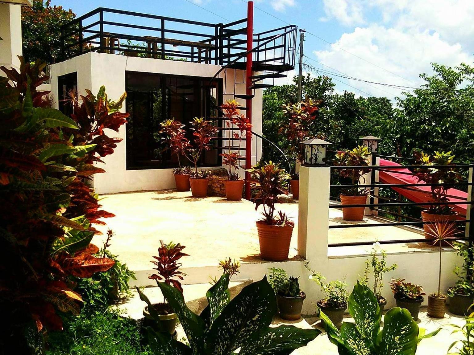 Photo 6