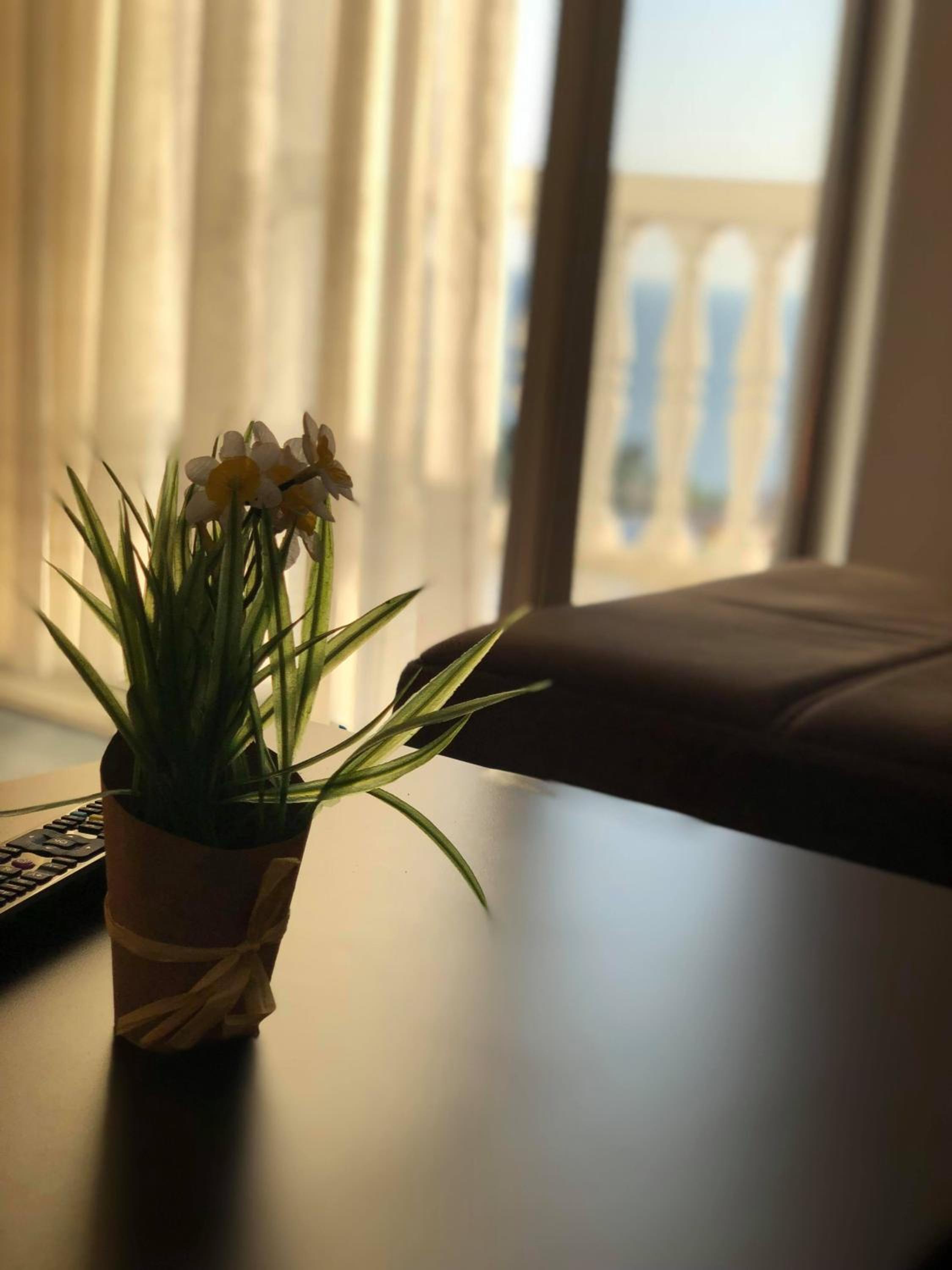 Apartments Boki