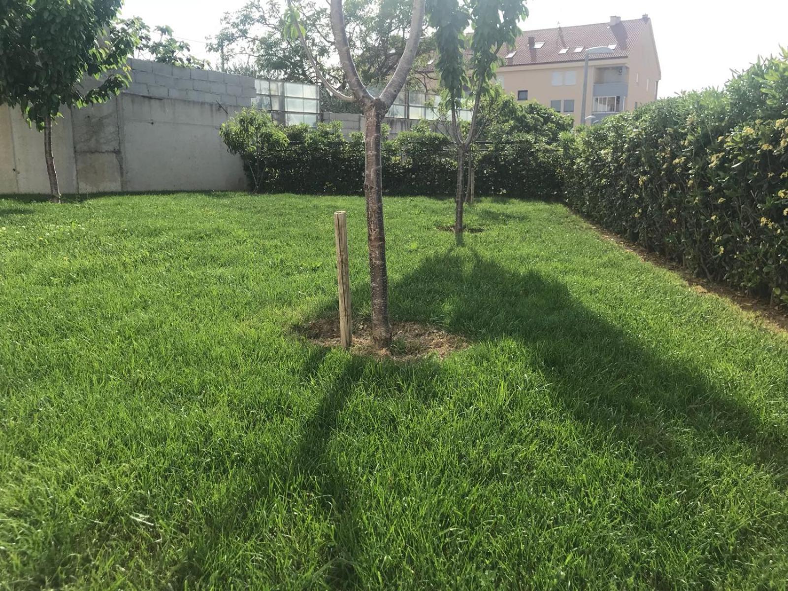 Vlatka apartman
