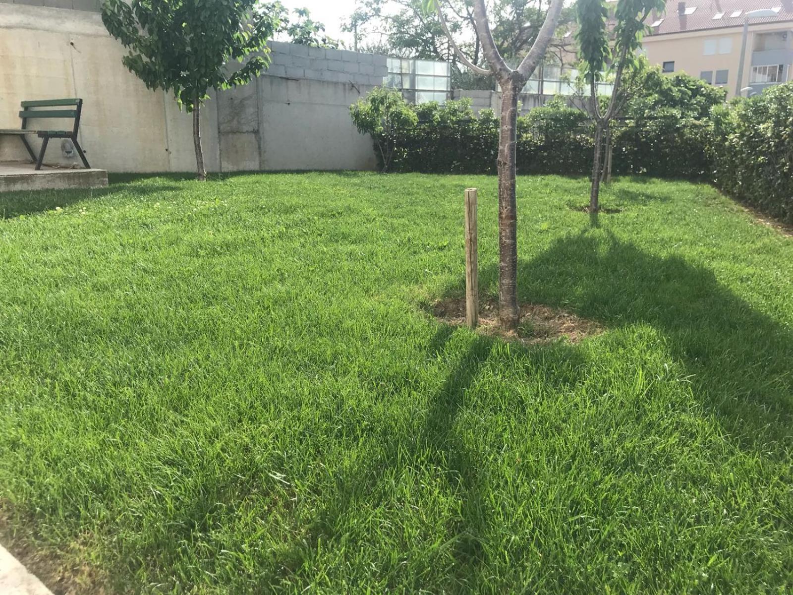 Vlatka apartman