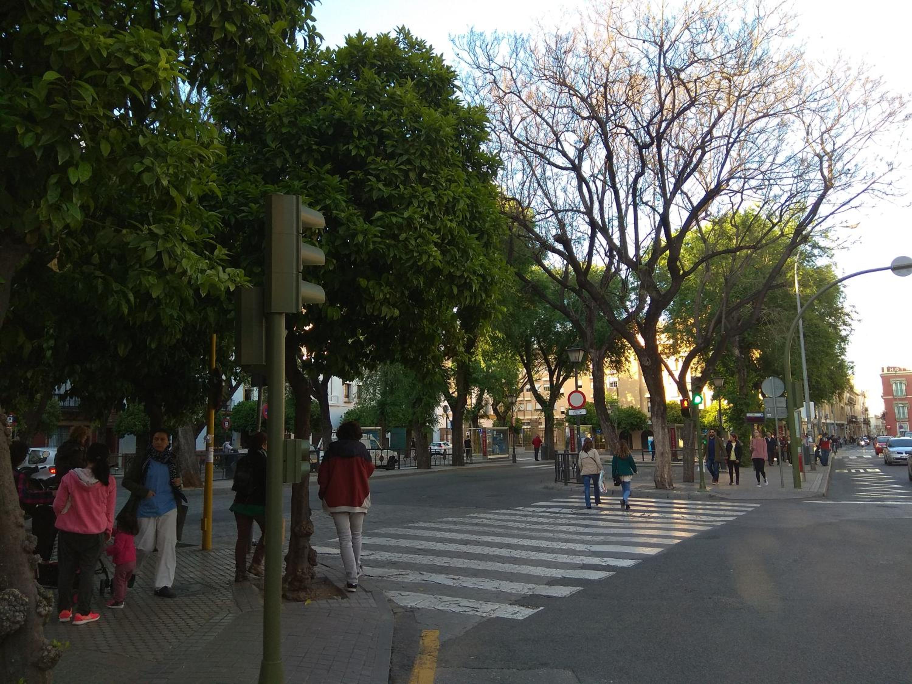 Apartamento en Calle Padilla