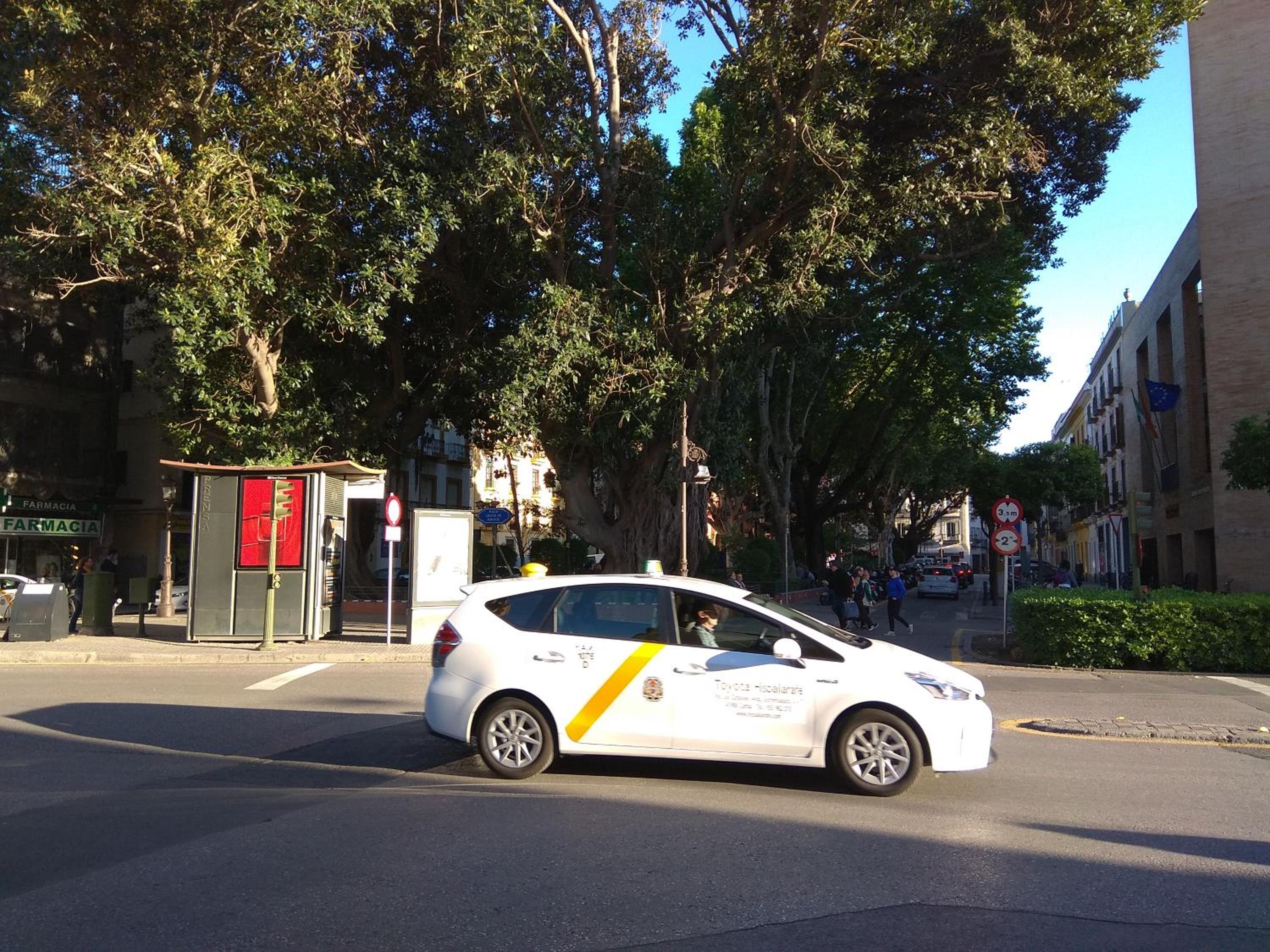 Apartamento en Calle Padilla
